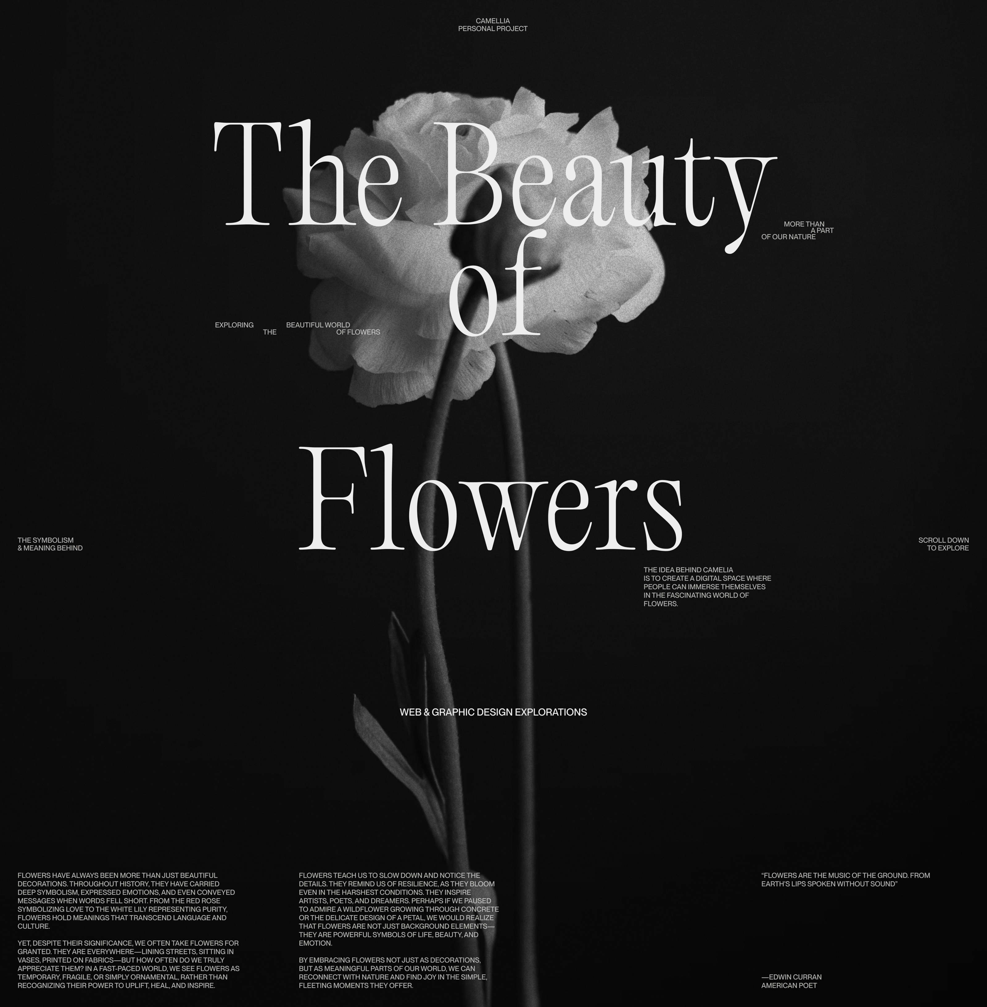 CAMELLIA, The beauty of flowers — Изображение №1 — Интерфейсы, Брендинг на Dprofile