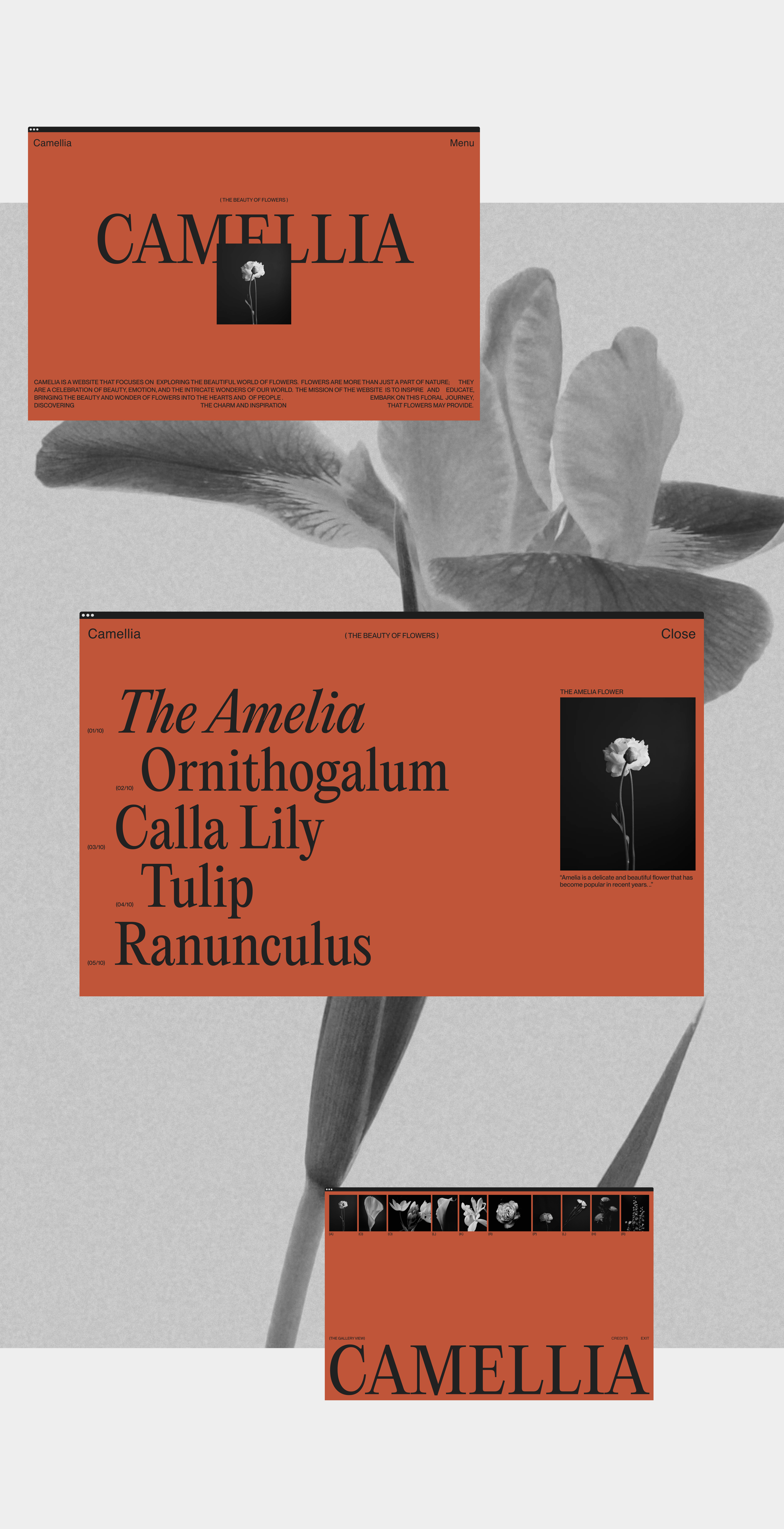 CAMELLIA, The beauty of flowers — Изображение №4 — Интерфейсы, Брендинг на Dprofile