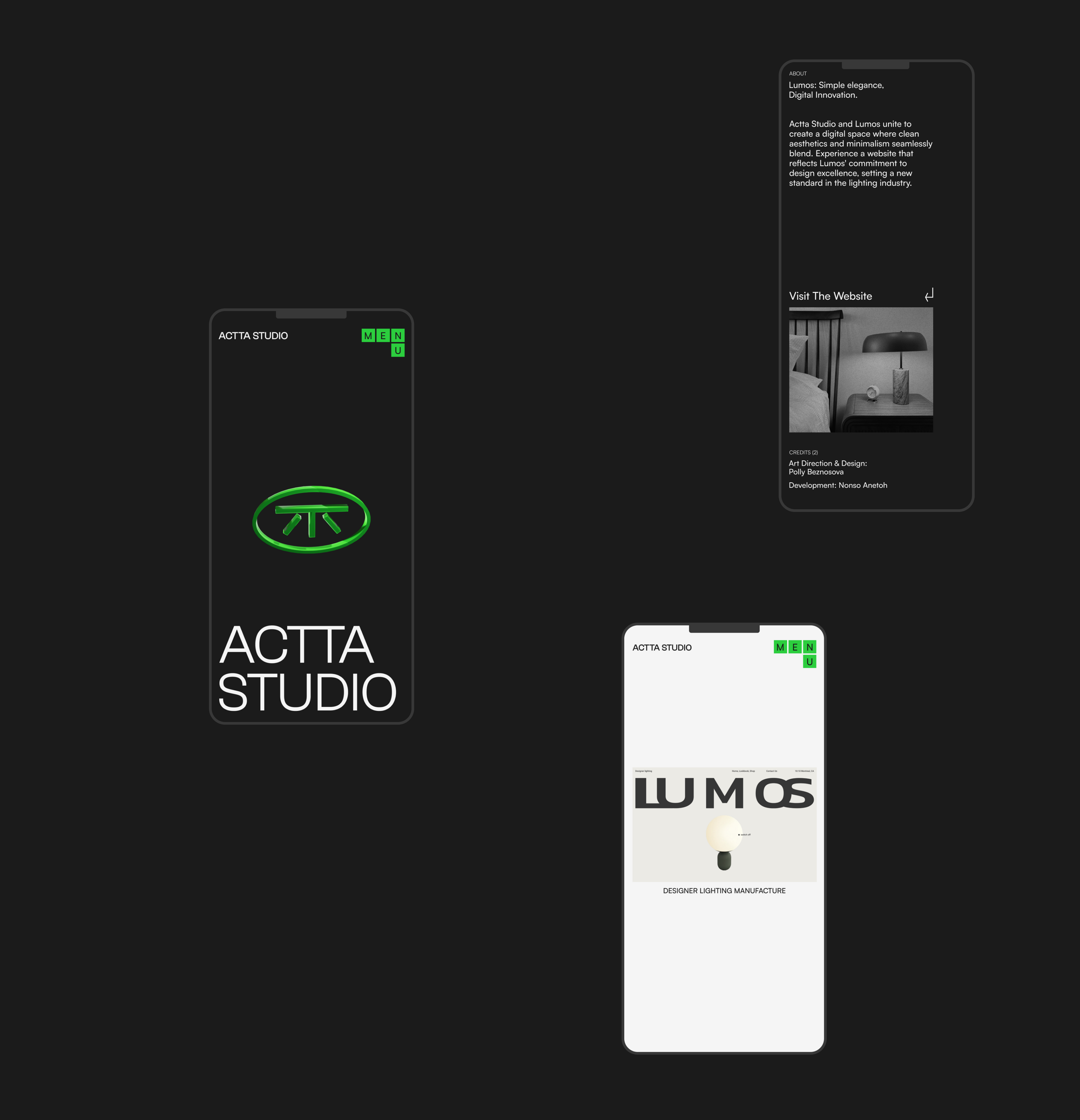 ACTTA STUDIO (Independent Digital Studio) ©2024 — Изображение №6 — Интерфейсы, Брендинг на Dprofile