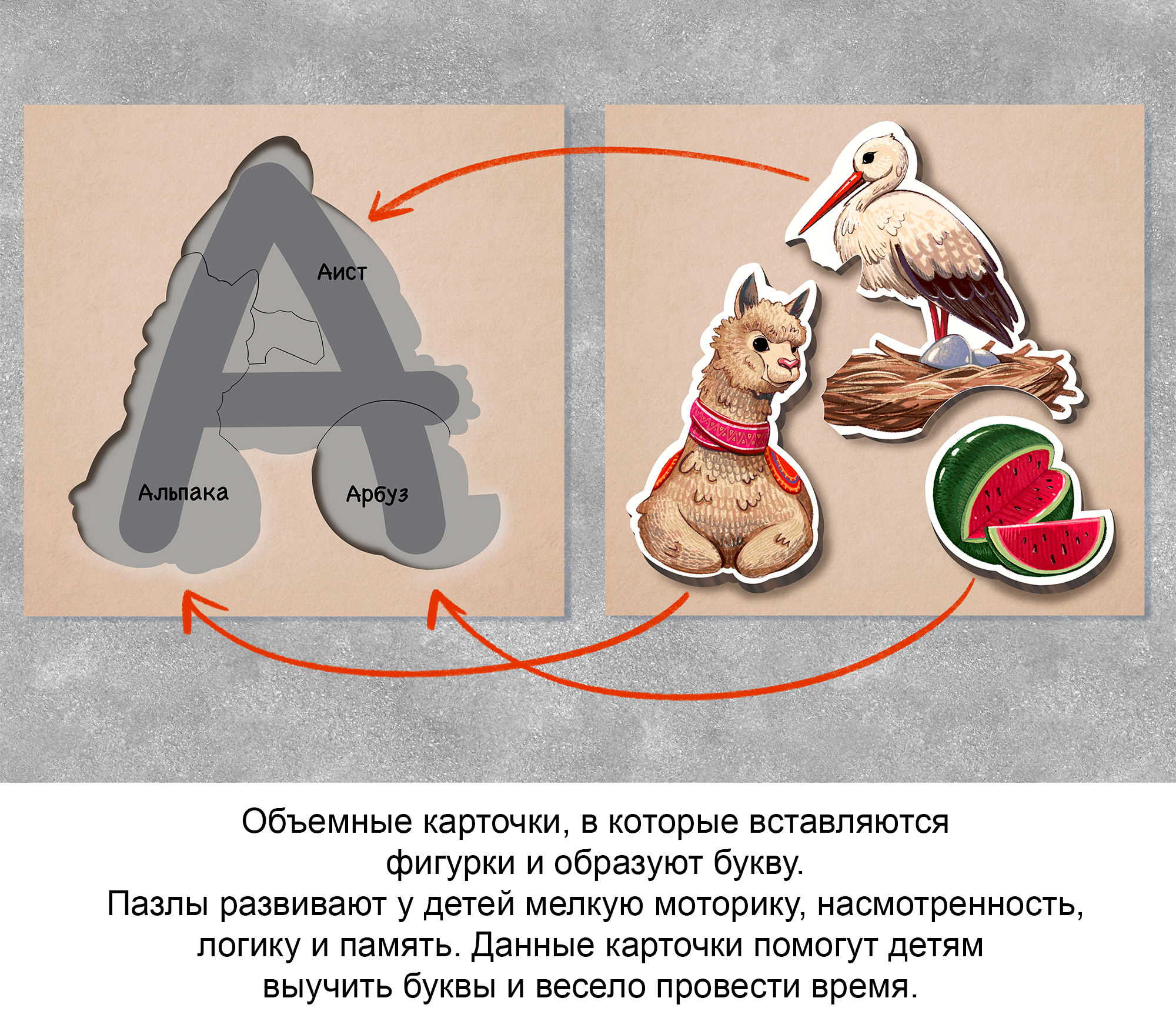 Алфавит в картинках. Разработка развивающих карточек-пазлов — Изображение №6 — Иллюстрация, Графика на Dprofile