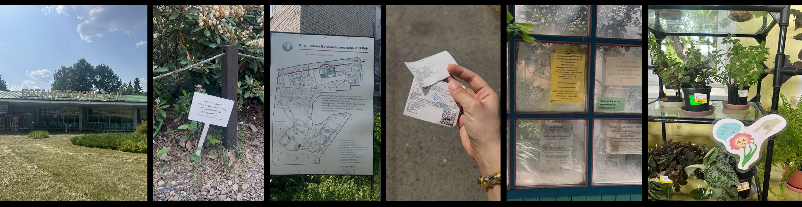 Ботанический сад УрО РАН г. Екатеринбурга — Изображение №2 — Брендинг на Dprofile