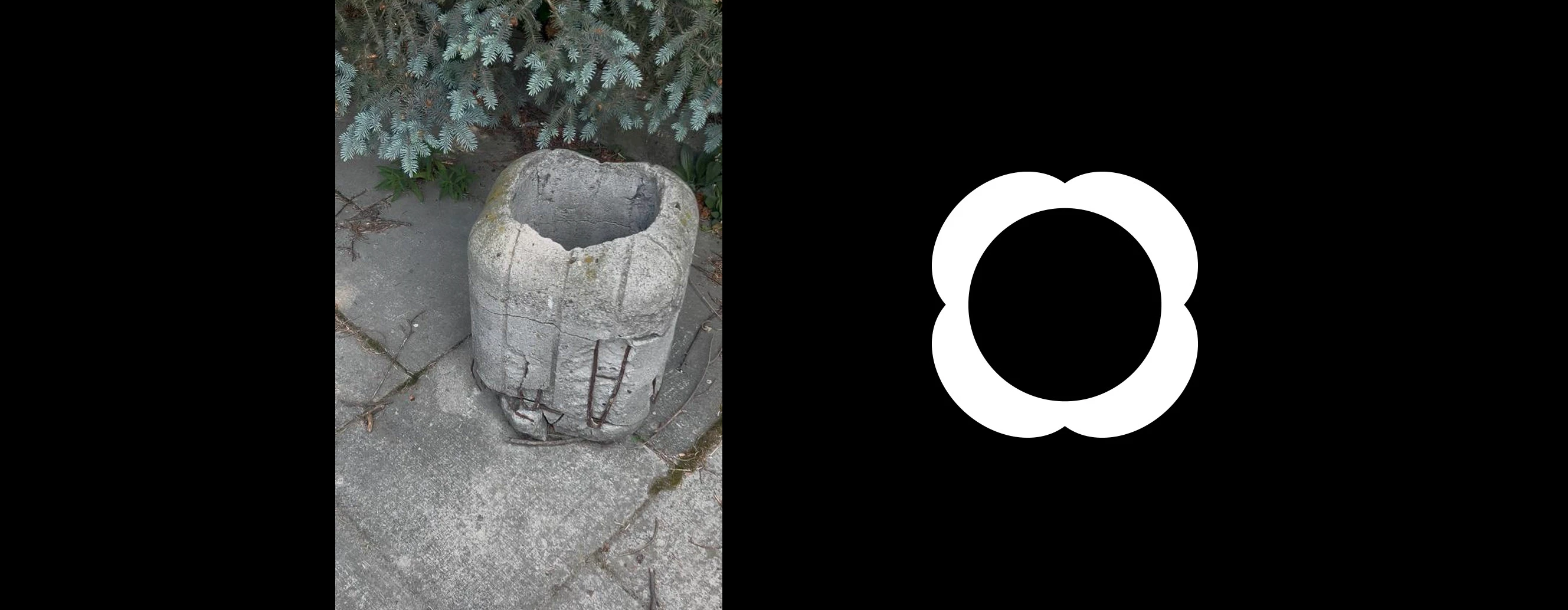 Ботанический сад УрО РАН г. Екатеринбурга — Изображение №3 — Брендинг на Dprofile