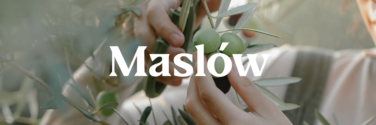 Maslow. Дизайн упаковки. — Изображение №2 — Брендинг на Dprofile