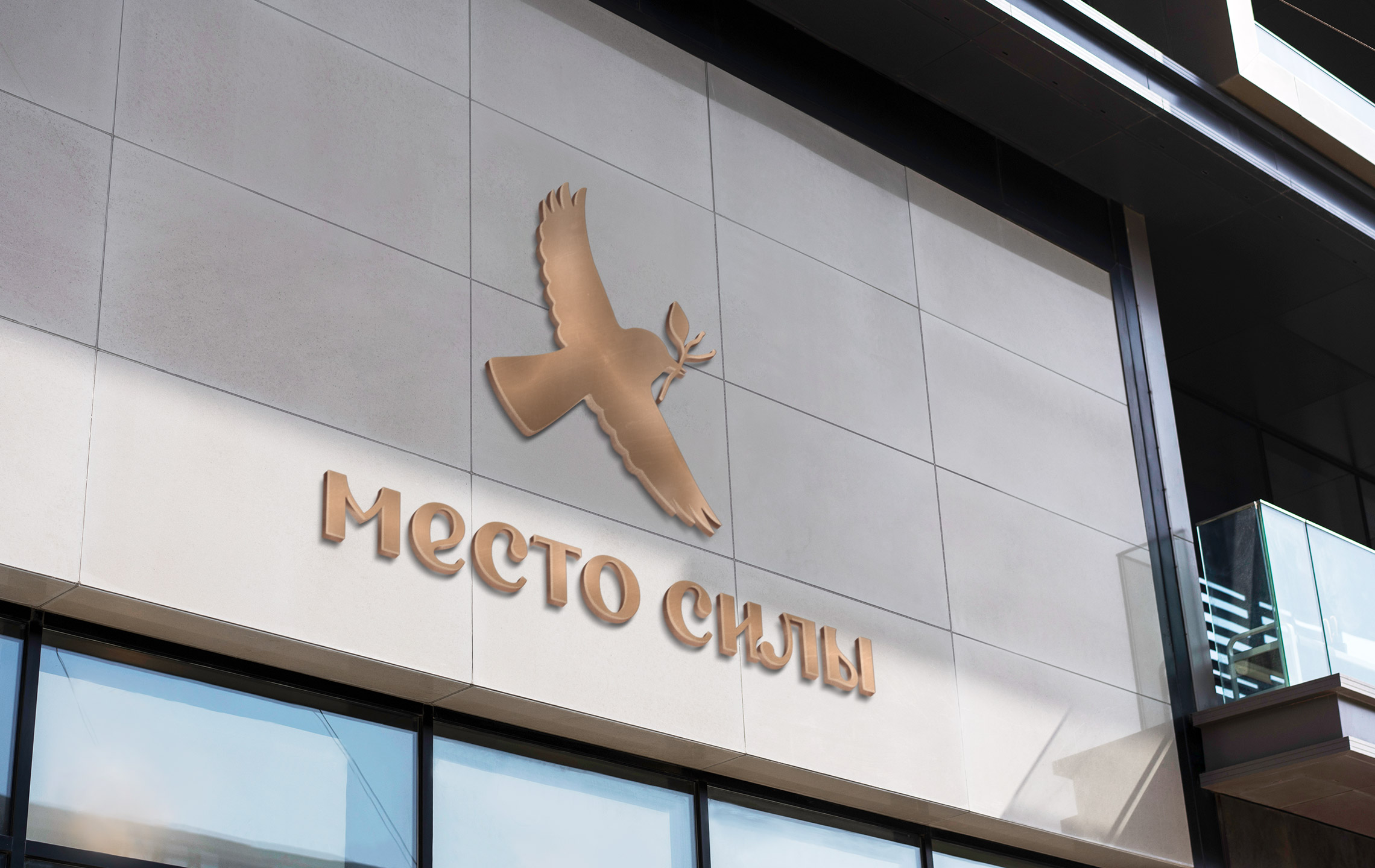 Фирменный стиль психологического центра Место Силы — Изображение №13 — Брендинг, Графика на Dprofile