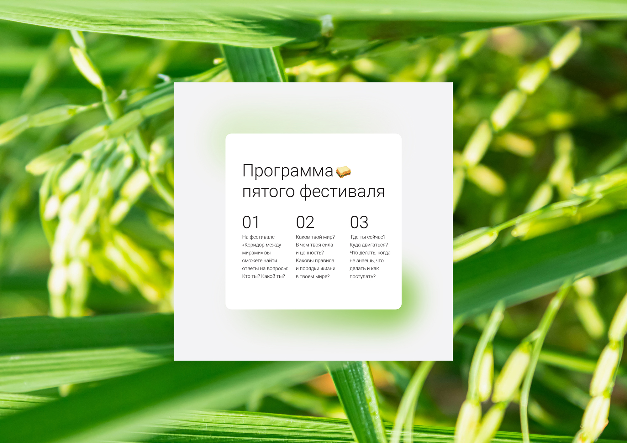 Фирменный стиль трансперсонального проекта «Сибирский ветер» — Изображение №15 — Брендинг, Иллюстрация на Dprofile
