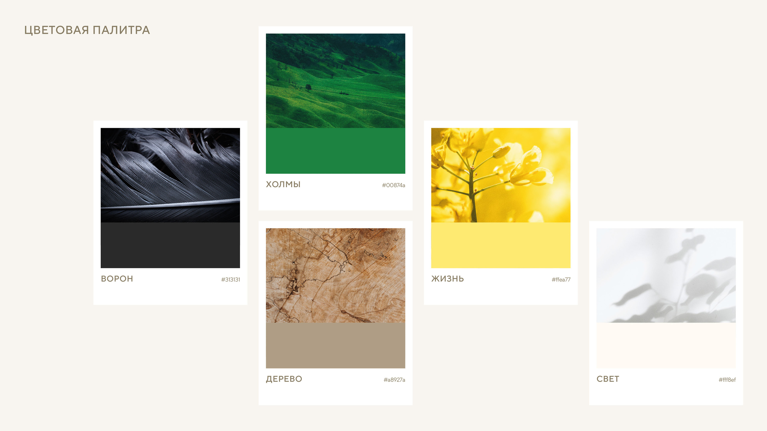 Логотип сообщества «С Петром за Котом» — Изображение №5 — Брендинг, Маркетинг на Dprofile