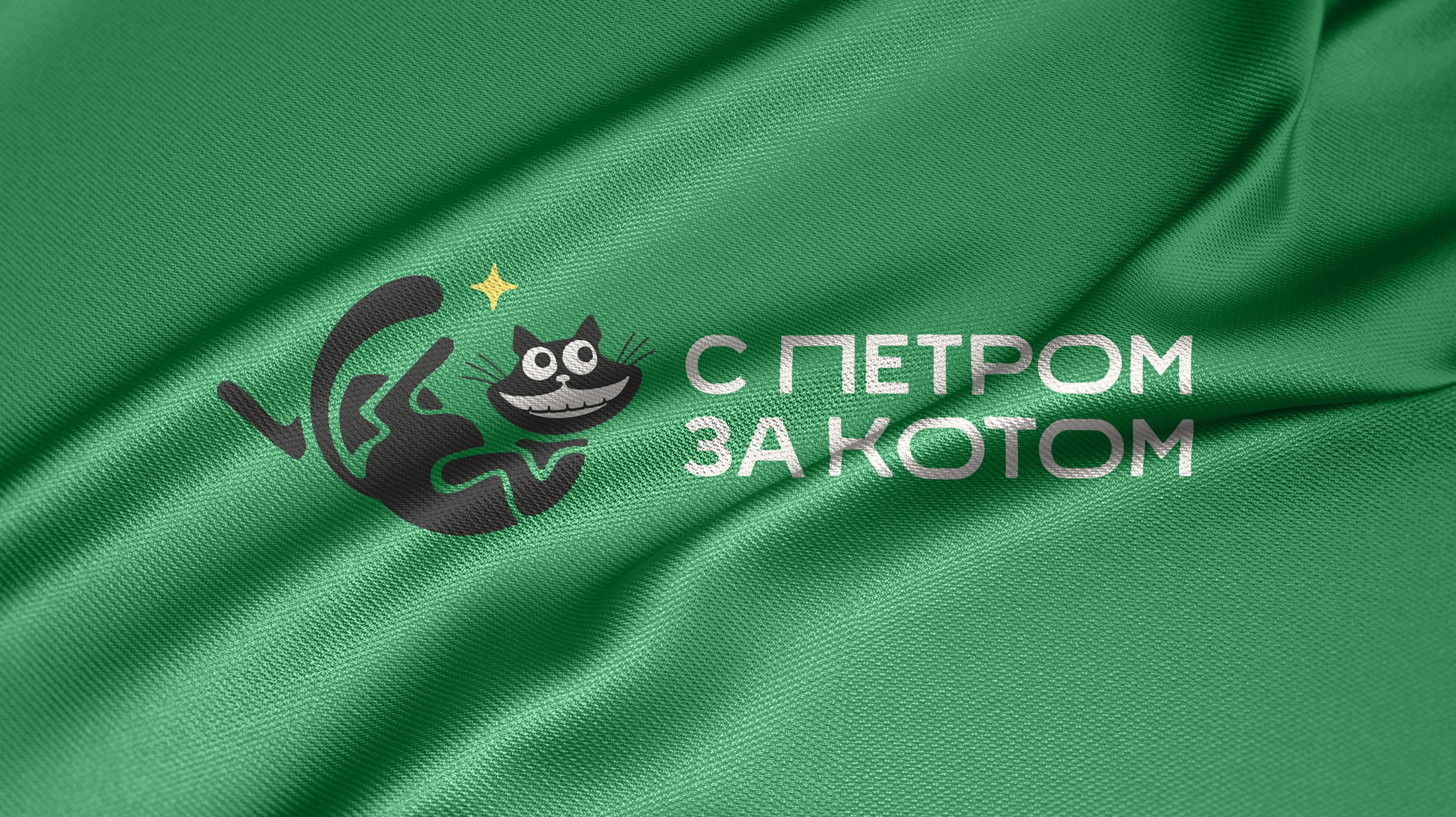 Логотип сообщества «С Петром за Котом» — Изображение №11 — Брендинг, Маркетинг на Dprofile