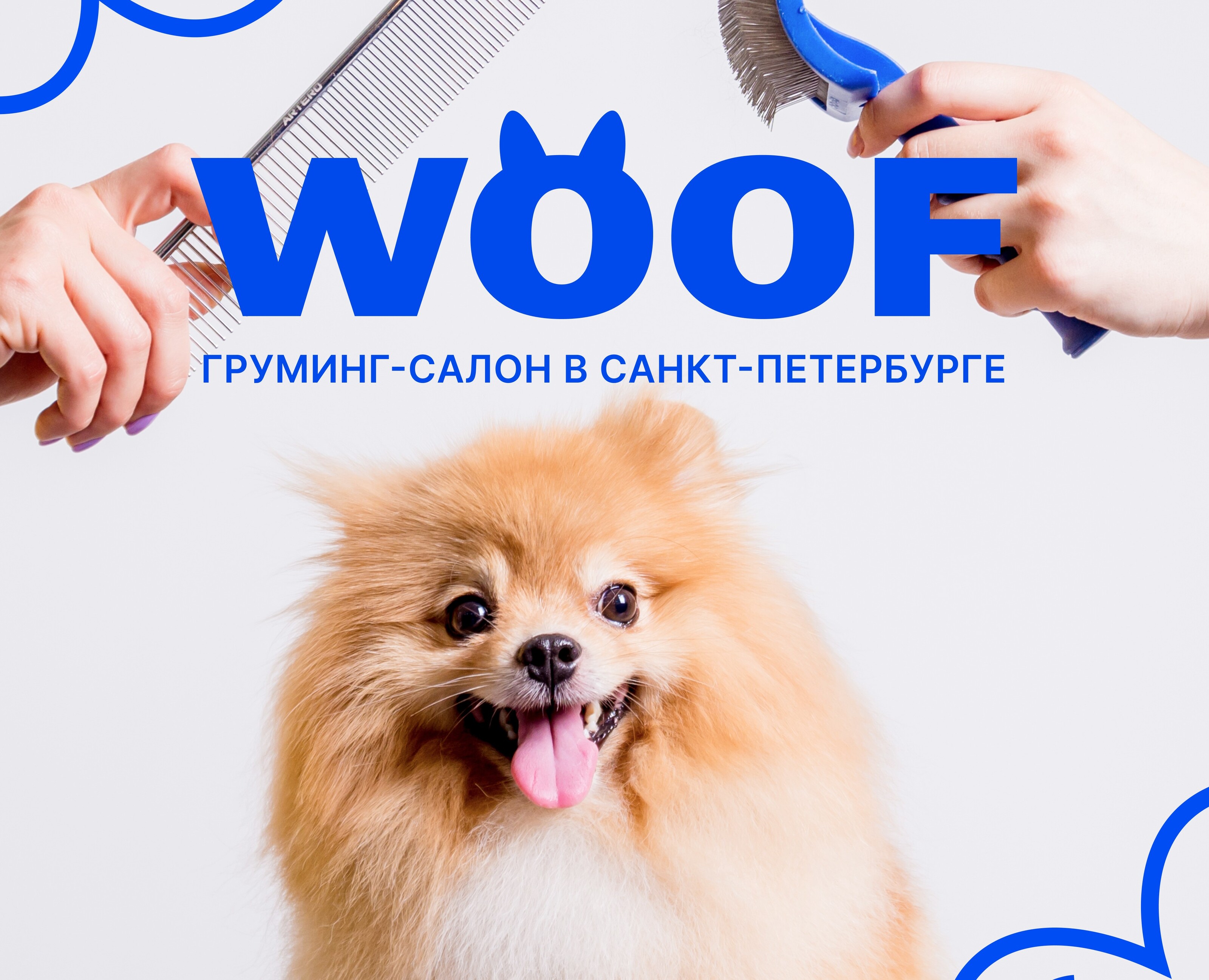 Брендинг для груминг-салона — Брендинг на Dprofile