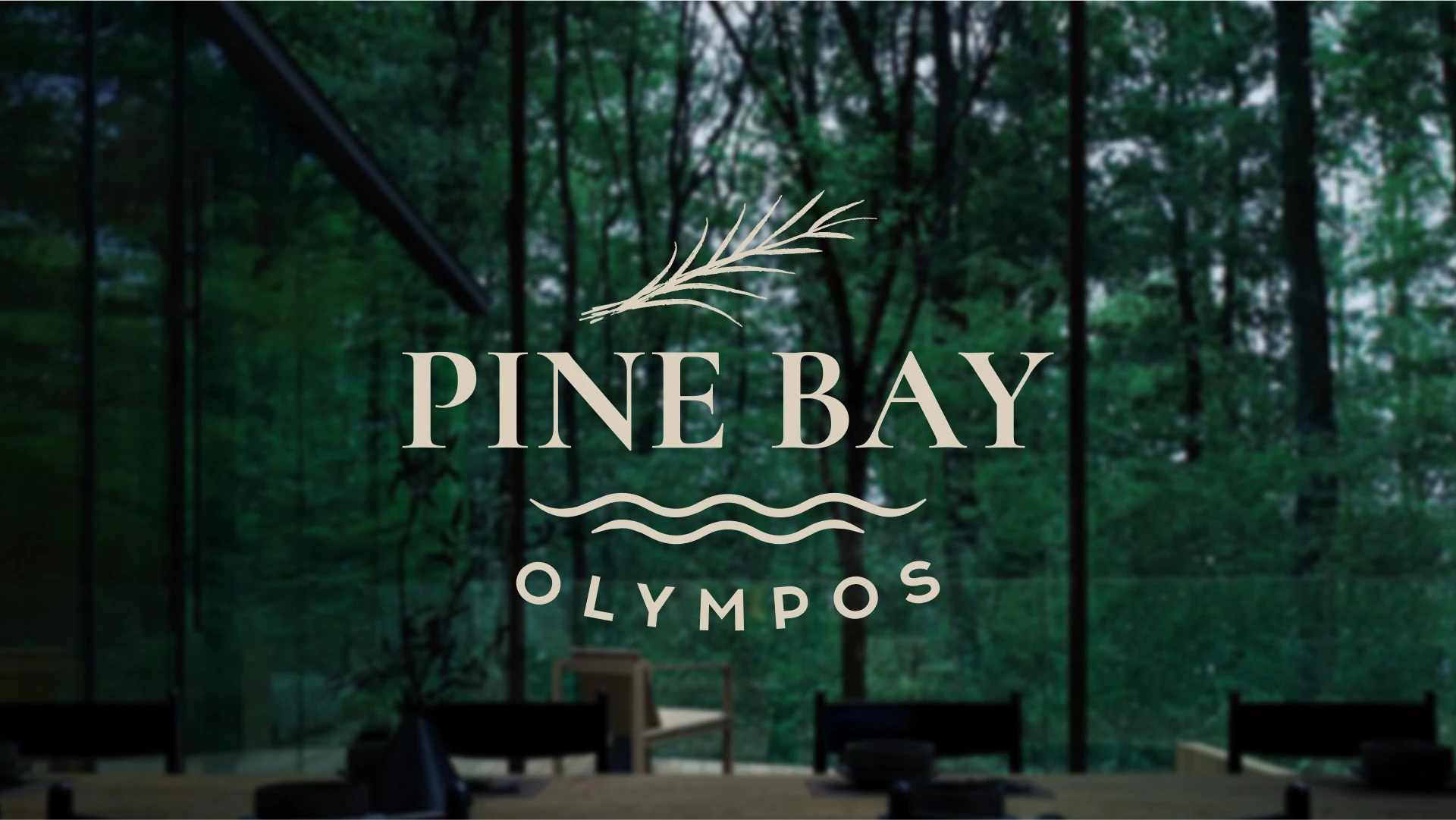 Бутик-отель премиум-класса — Изображение №1 — Брендинг на Dprofile