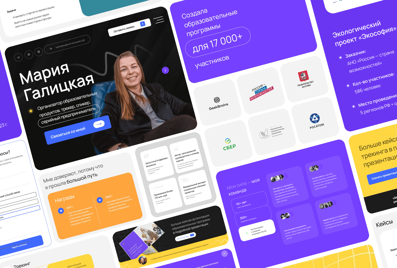 Мария Галицкая — эксперт по методологии (web design) — Изображение №2 — Интерфейсы на Dprofile