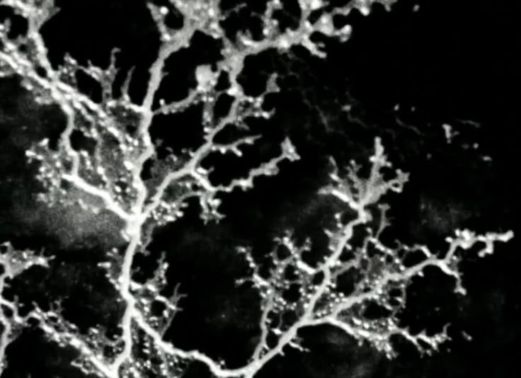 Постер для сериала The Last of Us — Изображение №3 — Иллюстрация, Маркетинг на Dprofile