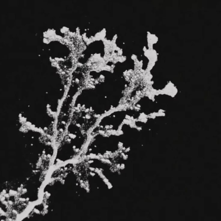 Постер для сериала The Last of Us — Изображение №4 — Иллюстрация, Маркетинг на Dprofile