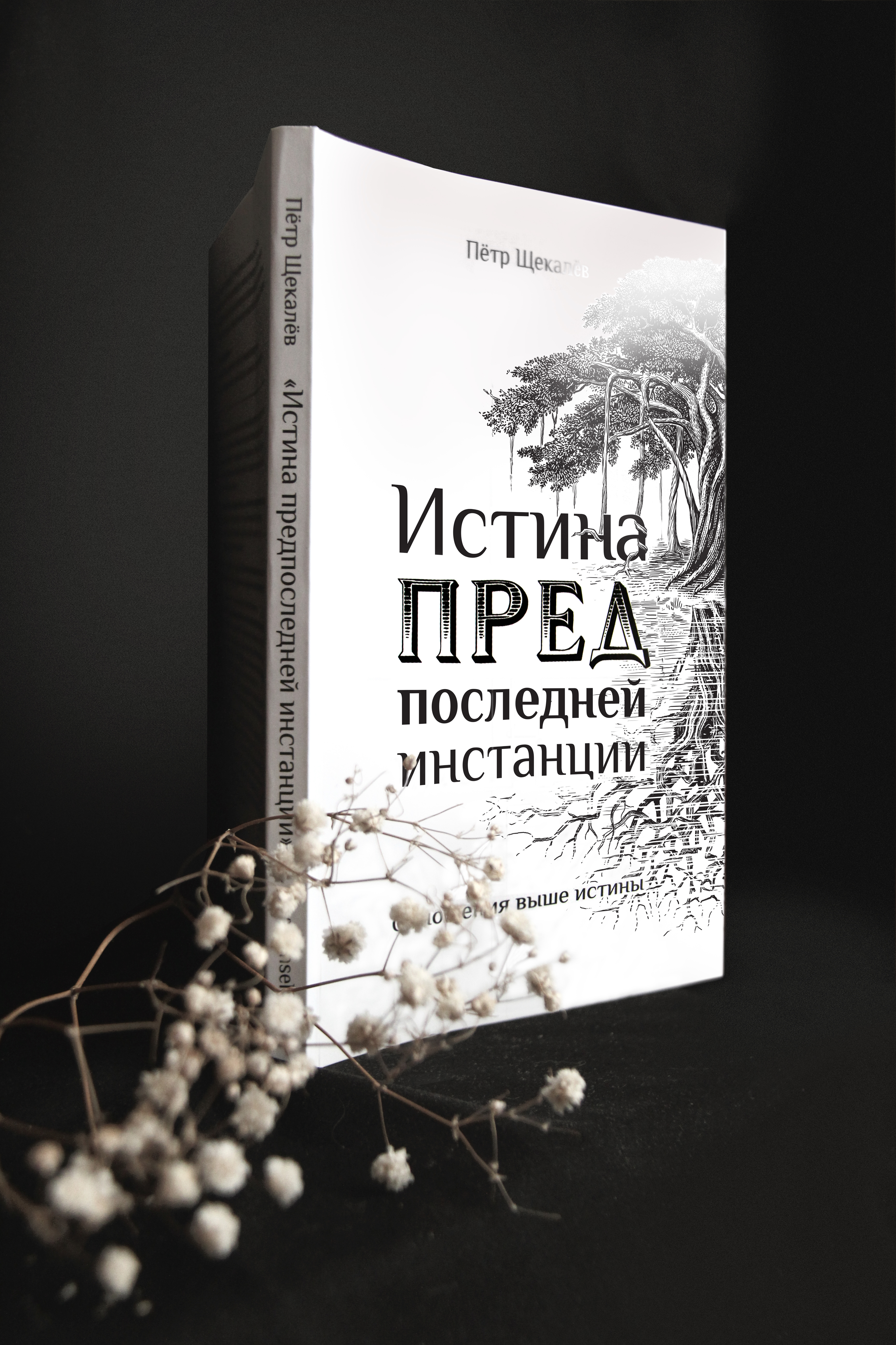 Иллюстрации для книги — Изображение №2 — Иллюстрация, Графика на Dprofile