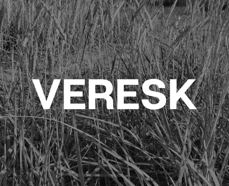 VERESK agency website UX/UI design — Интерфейсы на Dprofile