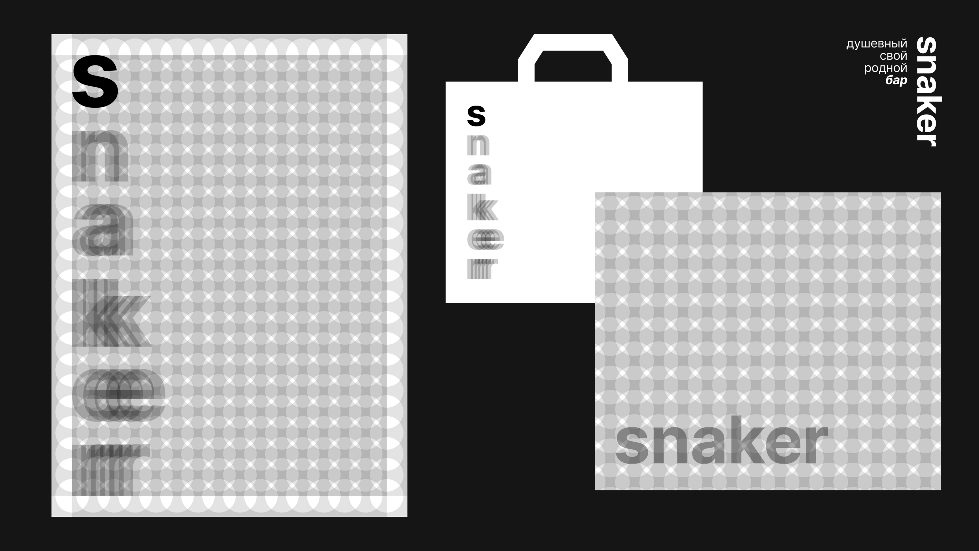 Snaker — Изображение №7 — Брендинг на Dprofile