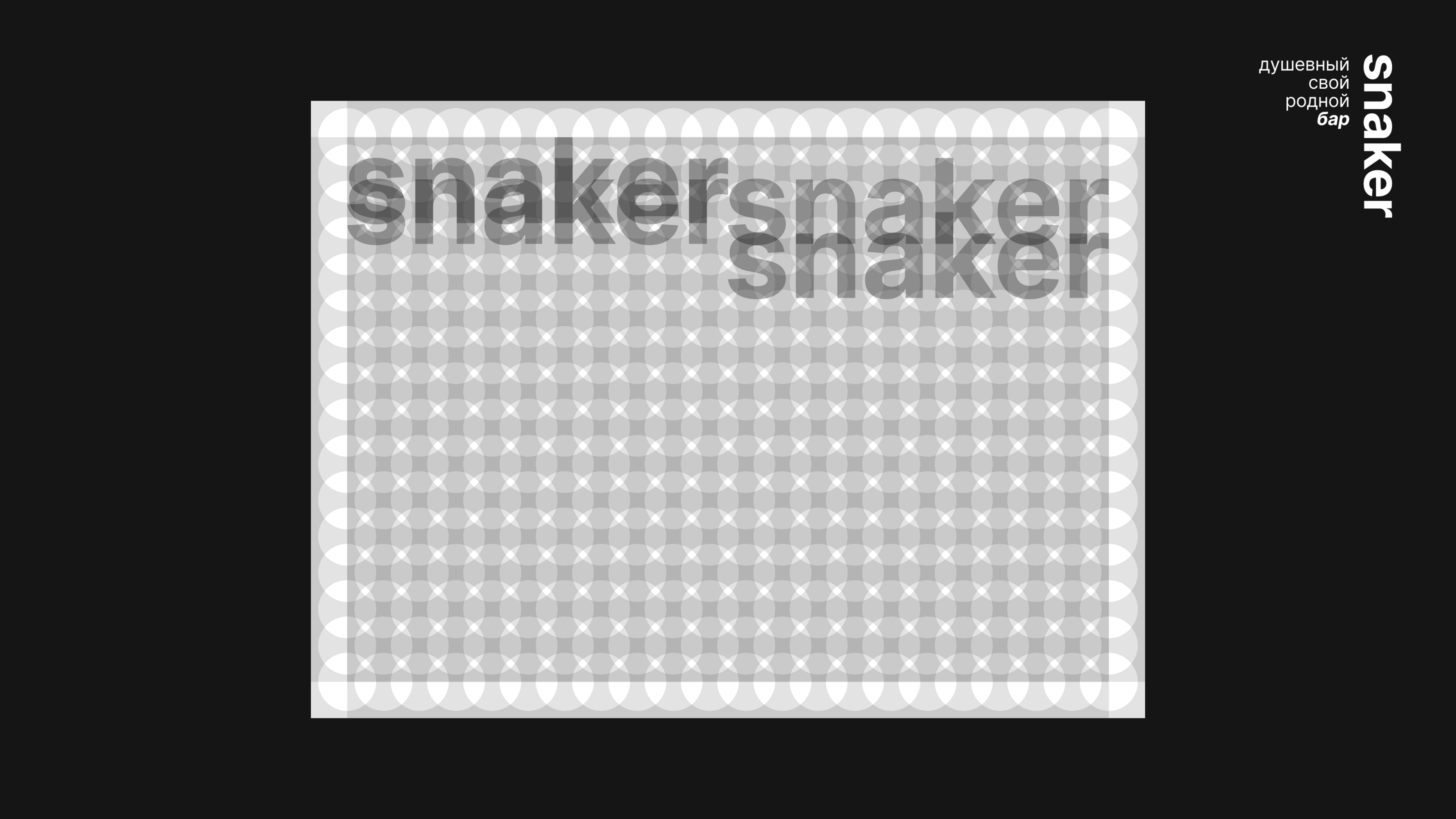 Snaker — Изображение №6 — Брендинг на Dprofile
