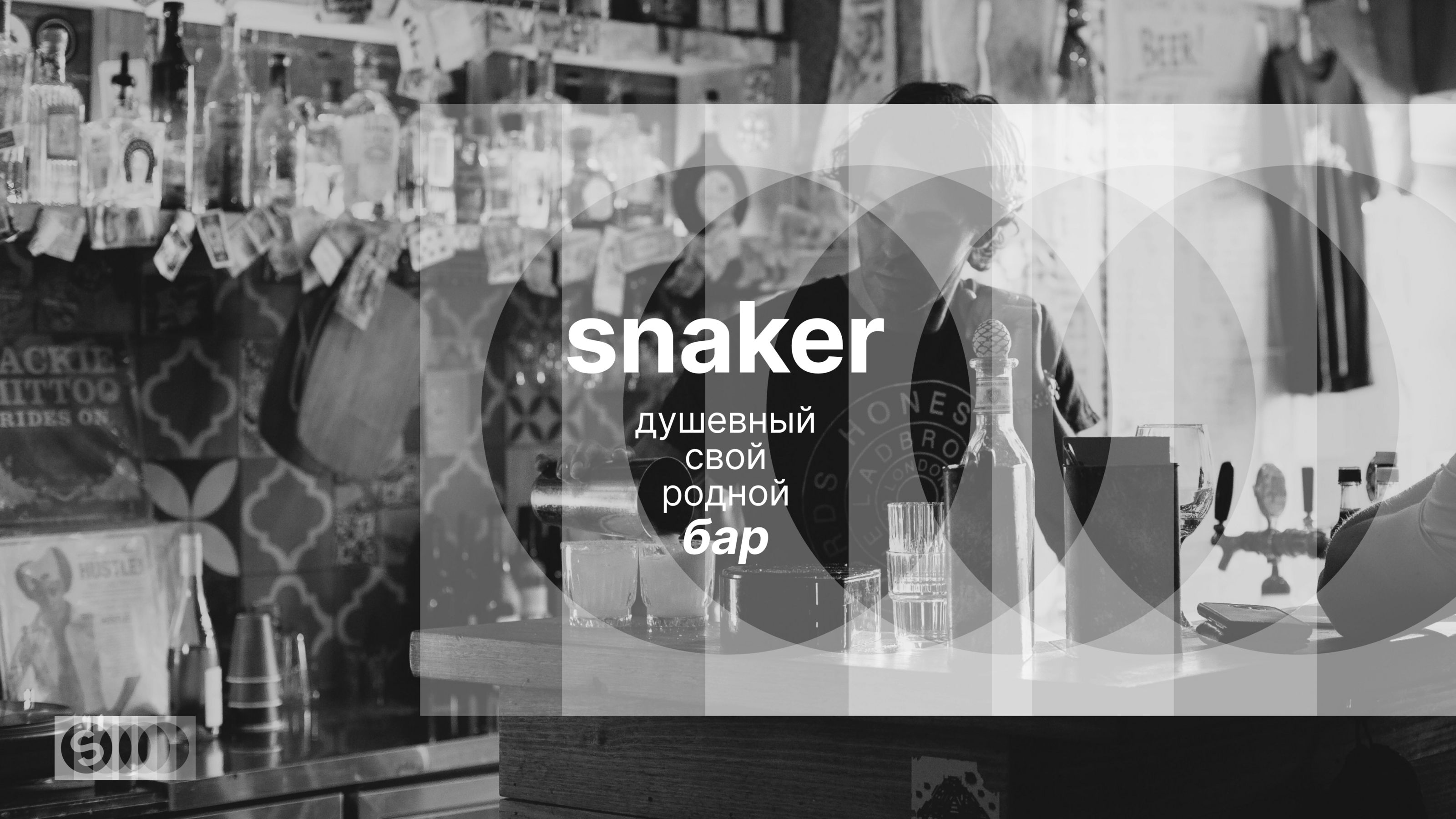 Snaker — Изображение №4 — Брендинг на Dprofile