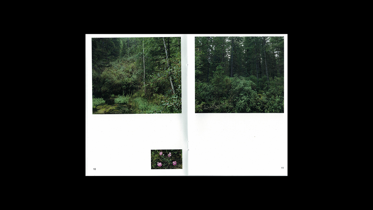 Zine, Altai and Baikal — Изображение №9 — Графика на Dprofile