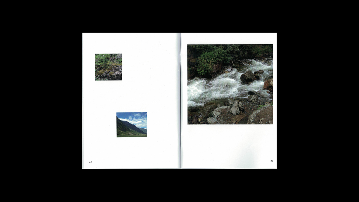 Zine, Altai and Baikal — Изображение №15 — Графика на Dprofile