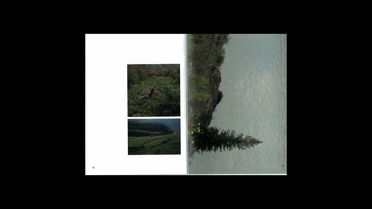 Zine, Altai and Baikal — Изображение №12 — Графика на Dprofile