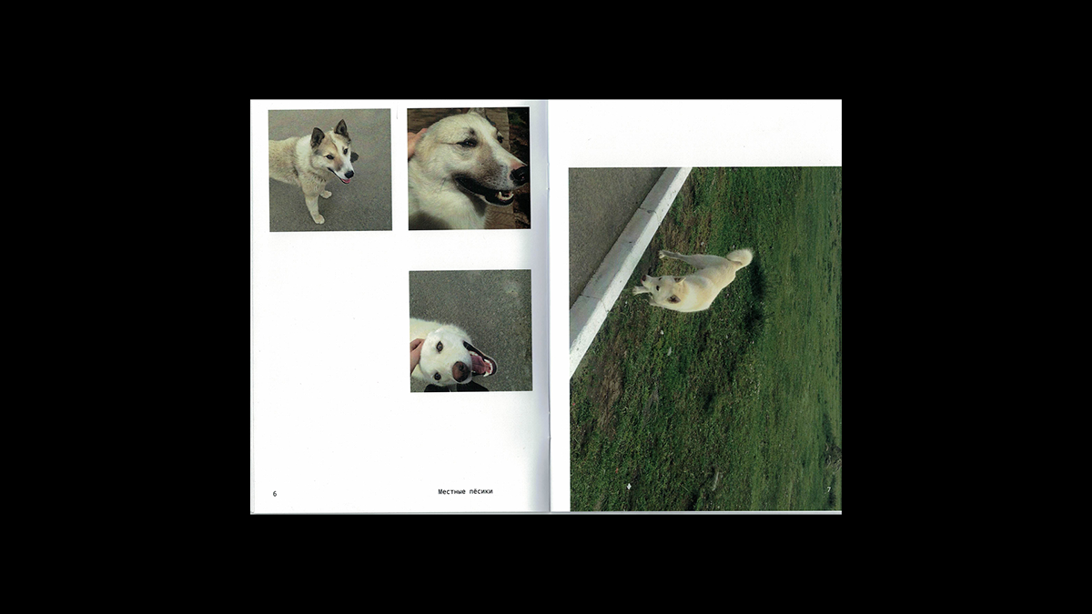 Zine, Altai and Baikal — Изображение №7 — Графика на Dprofile