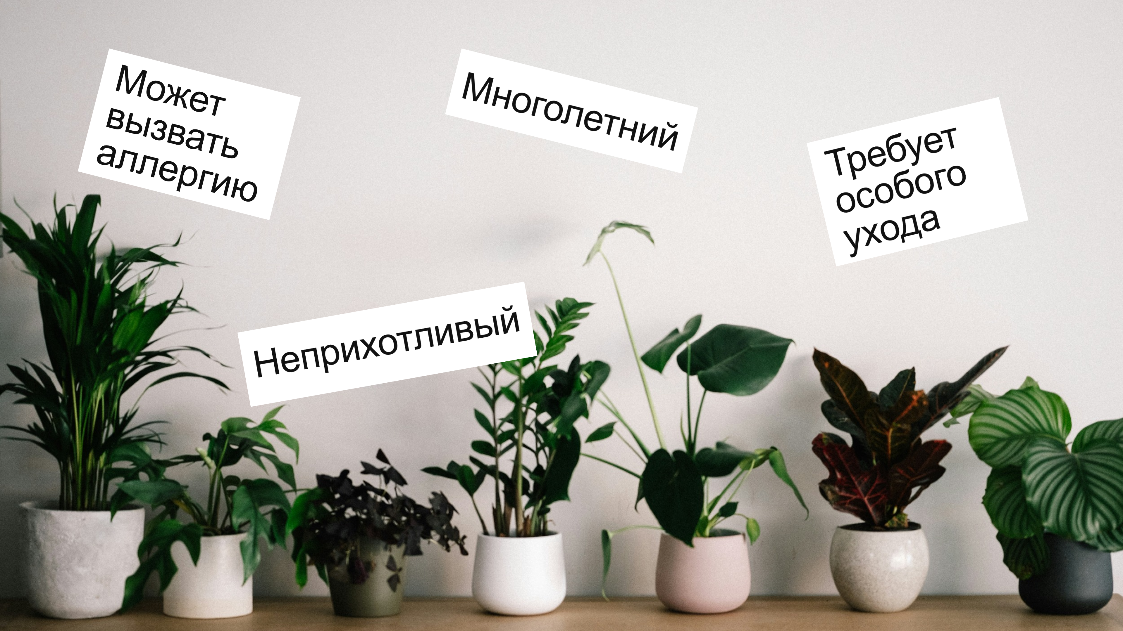 В добрые руки / Web design — Изображение №14 — Интерфейсы, Брендинг на Dprofile