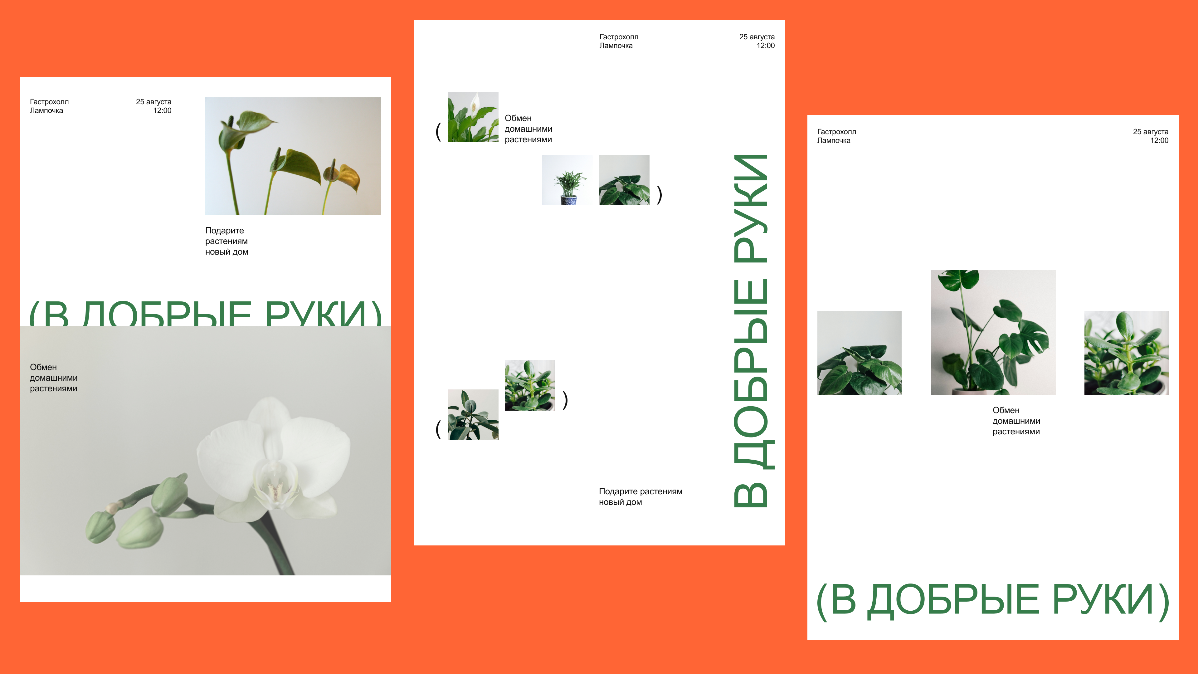 В добрые руки / Web design — Изображение №13 — Интерфейсы, Брендинг на Dprofile