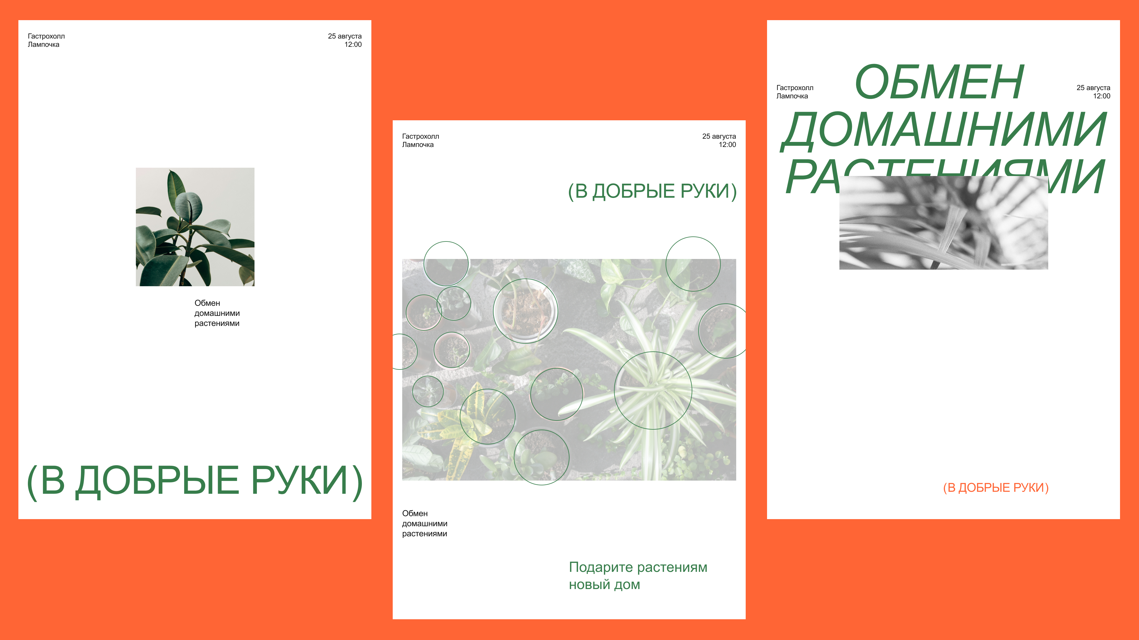 В добрые руки / Web design — Изображение №12 — Интерфейсы, Брендинг на Dprofile