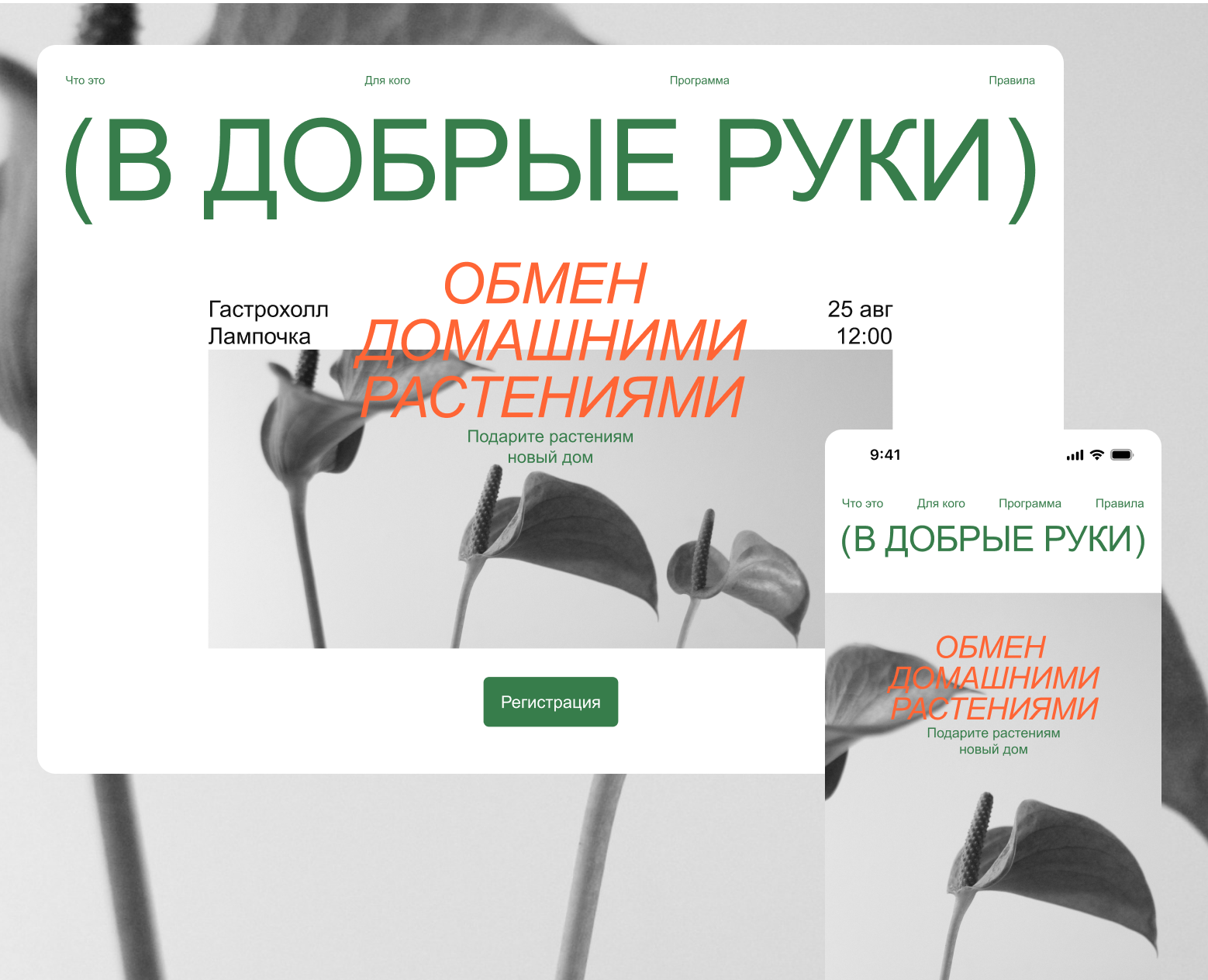 В добрые руки / Web design — Интерфейсы, Брендинг на Dprofile