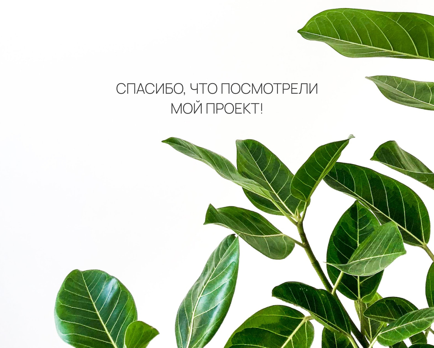 Многостраничный сайт Plant Store — Изображение №6 — Интерфейсы на Dprofile