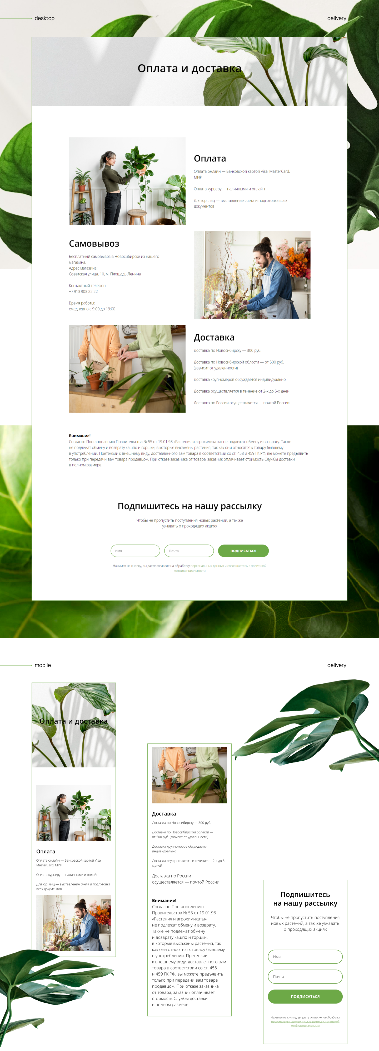 Многостраничный сайт Plant Store — Изображение №5 — Интерфейсы на Dprofile
