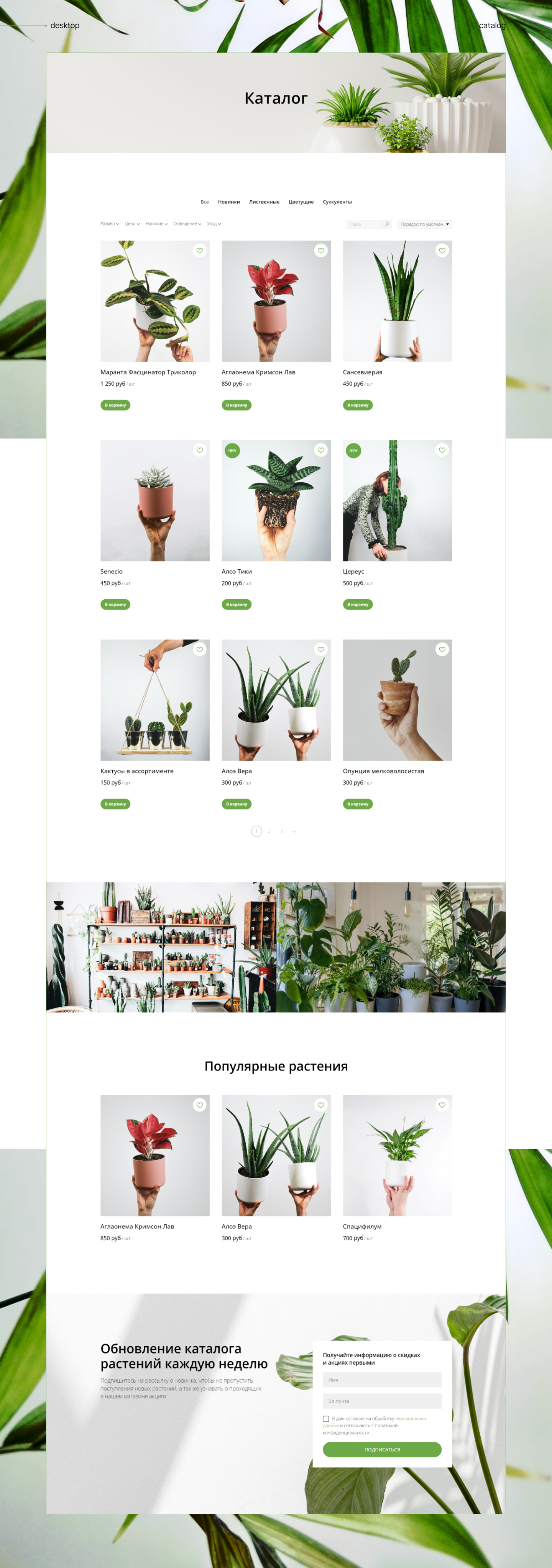 Многостраничный сайт Plant Store — Изображение №3 — Интерфейсы на Dprofile