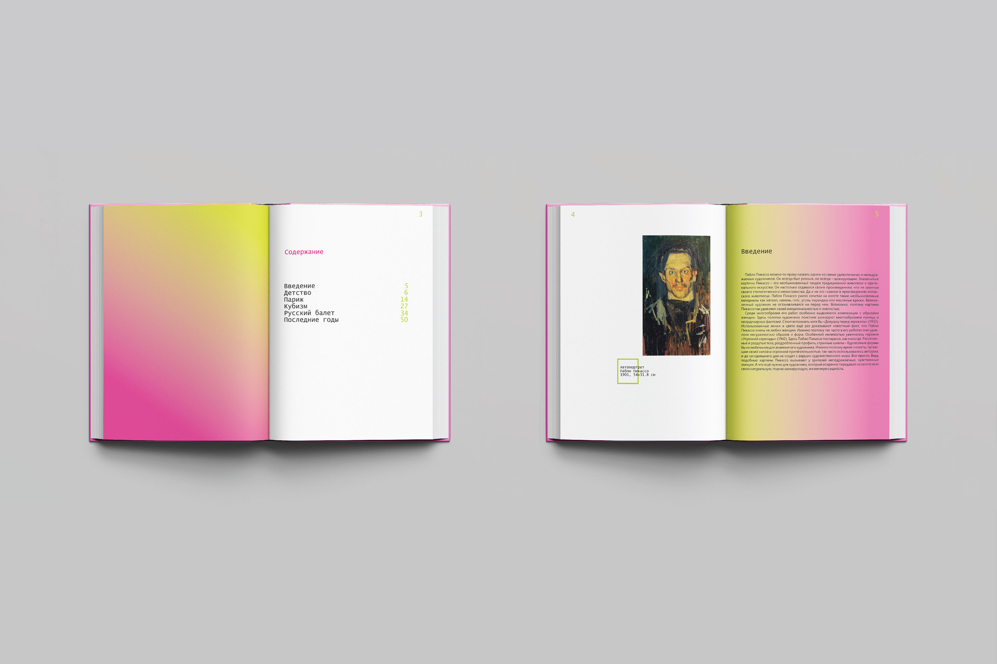 Pablo Picasso Book (Life and Art) — Изображение №3 — Графика на Dprofile