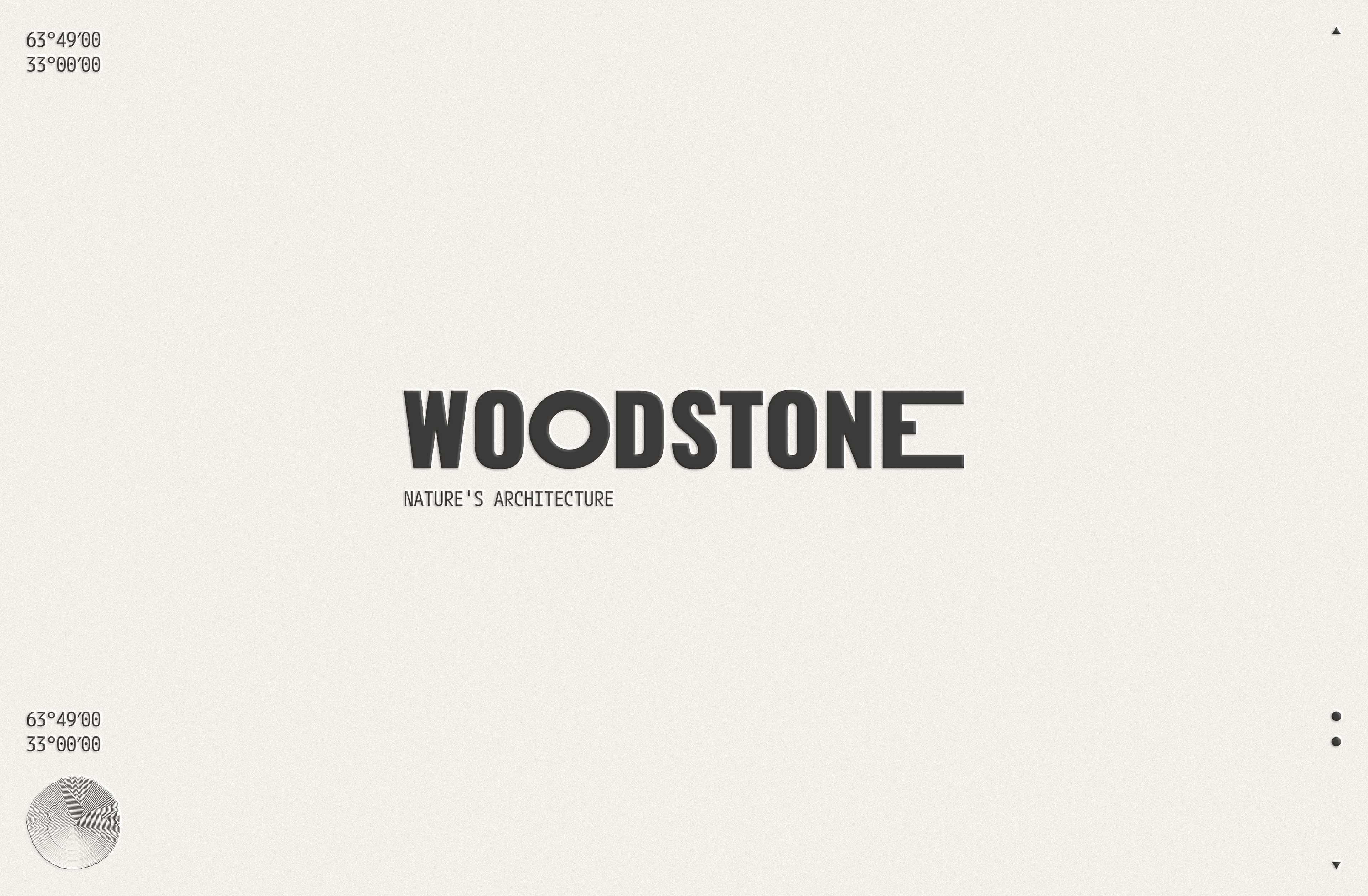 Woodstone — Изображение №2 — Брендинг на Dprofile