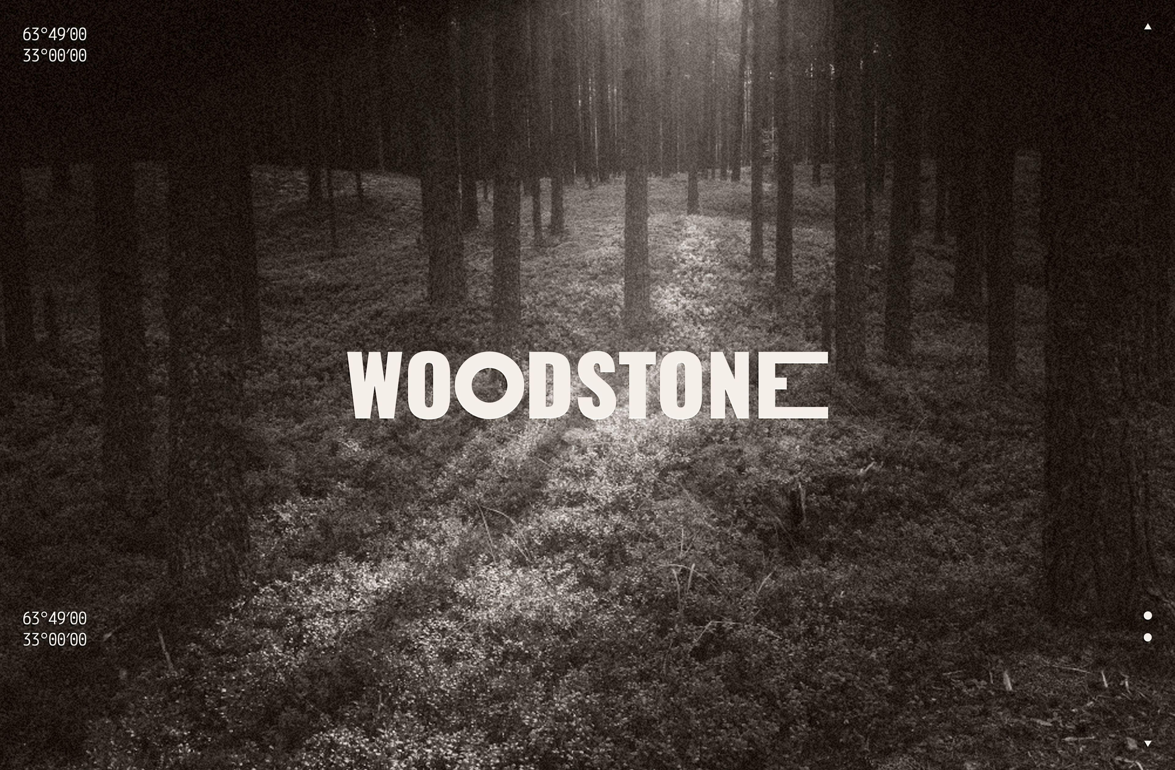 Woodstone — Изображение №1 — Брендинг на Dprofile
