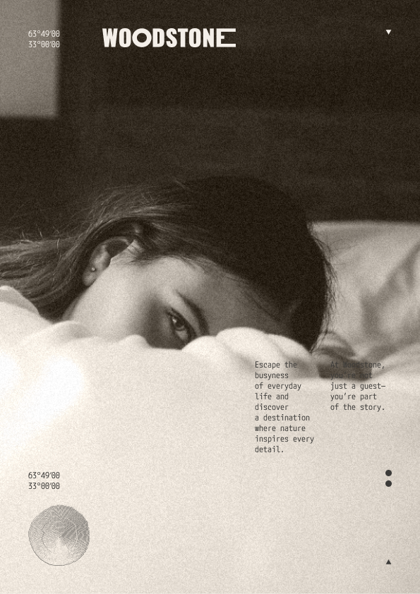 Woodstone — Изображение №16 — Брендинг на Dprofile