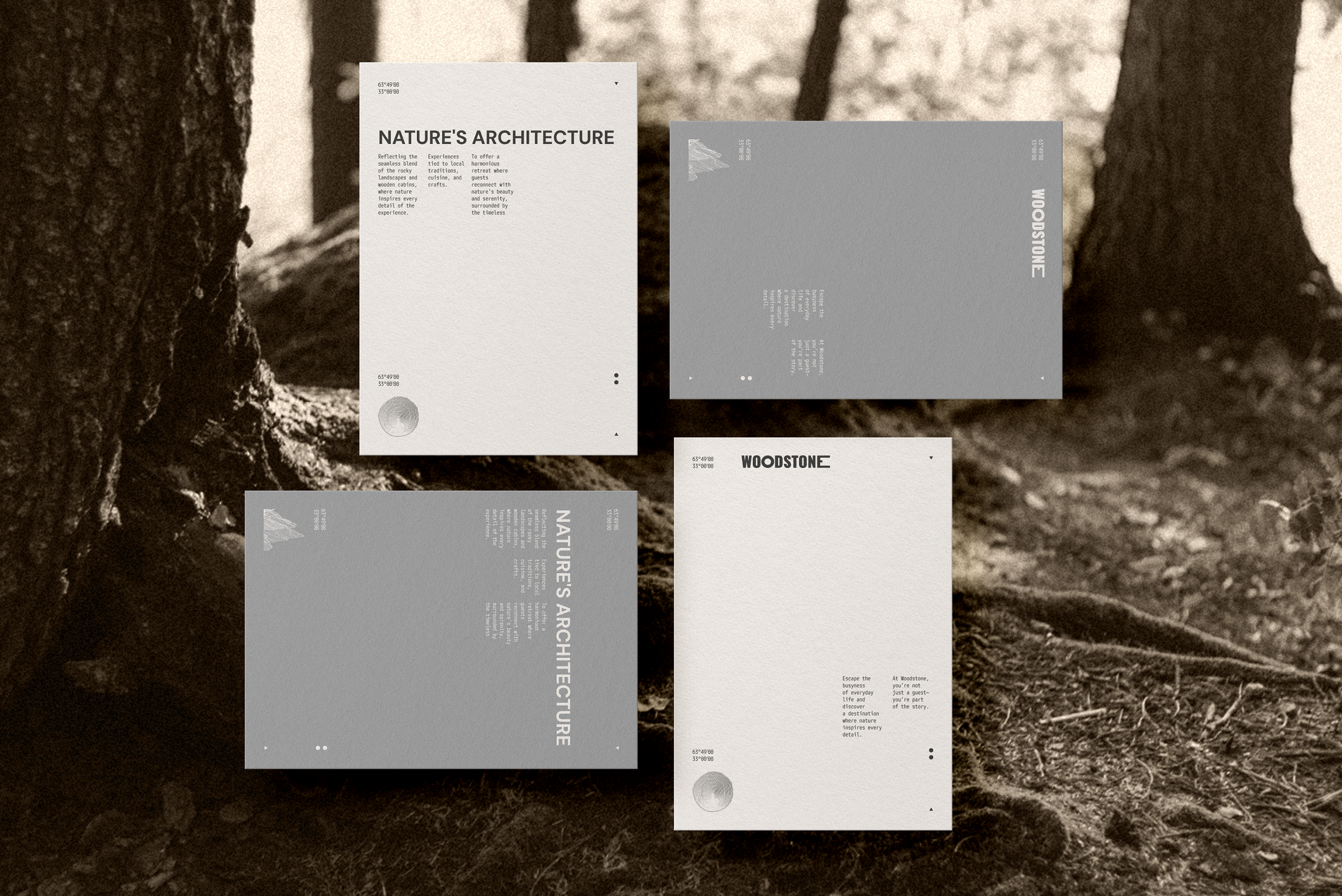 Woodstone — Изображение №23 — Брендинг на Dprofile