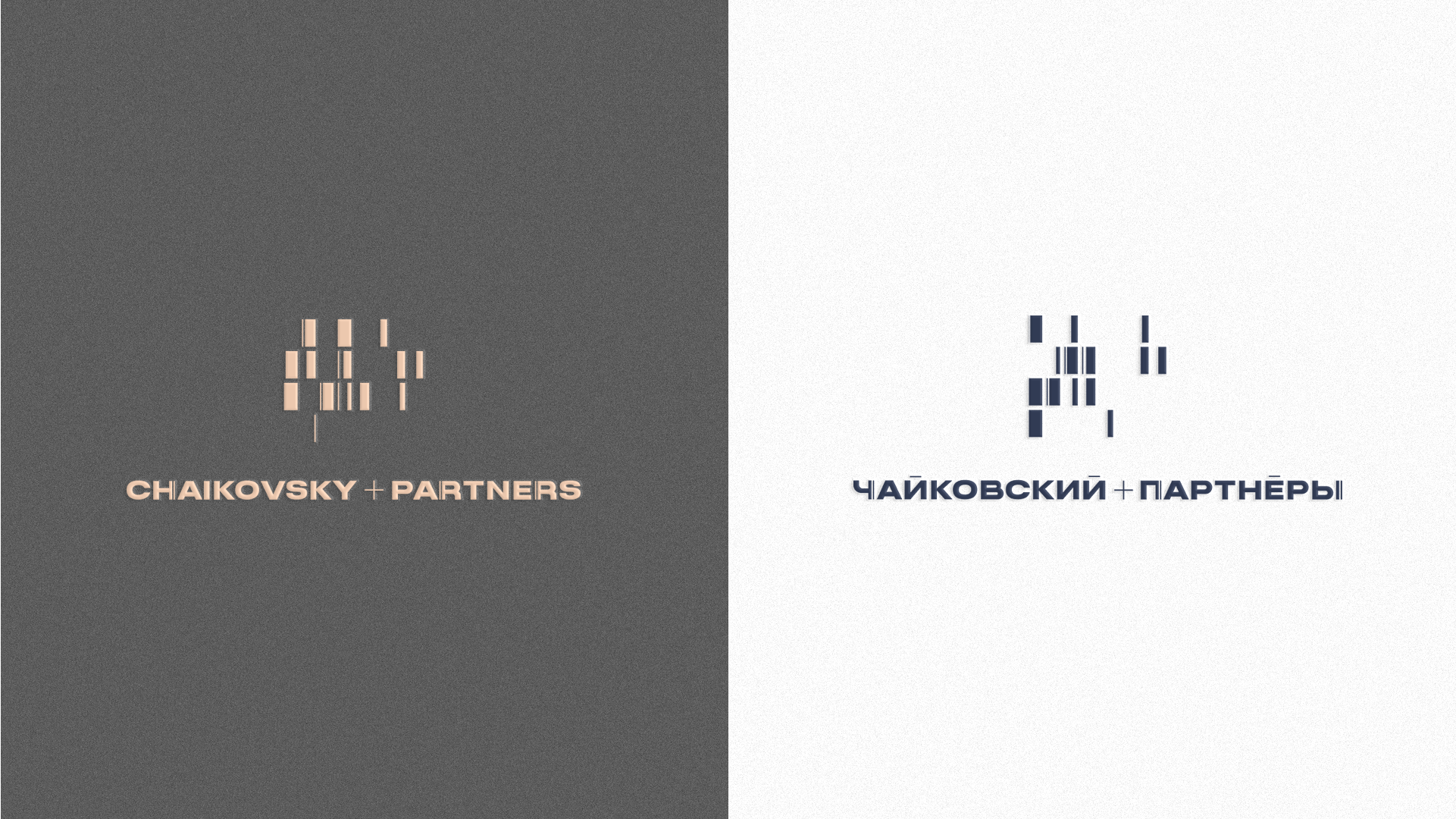 Chaikovsky + Partners — Изображение №6 — Брендинг на Dprofile