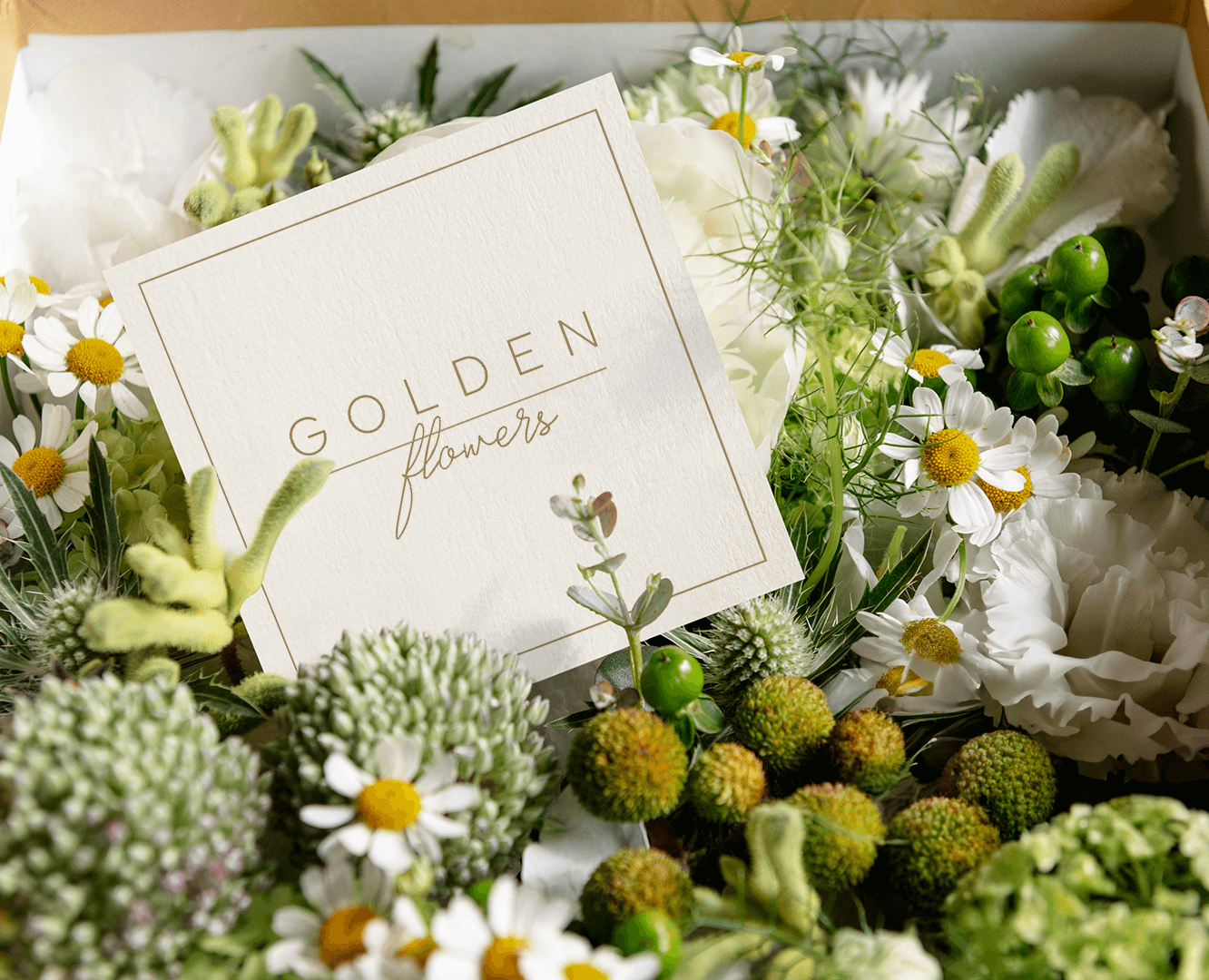 Дизайн рекламных материалов для GOLDEN FLOWERS — Брендинг, Графика на Dprofile