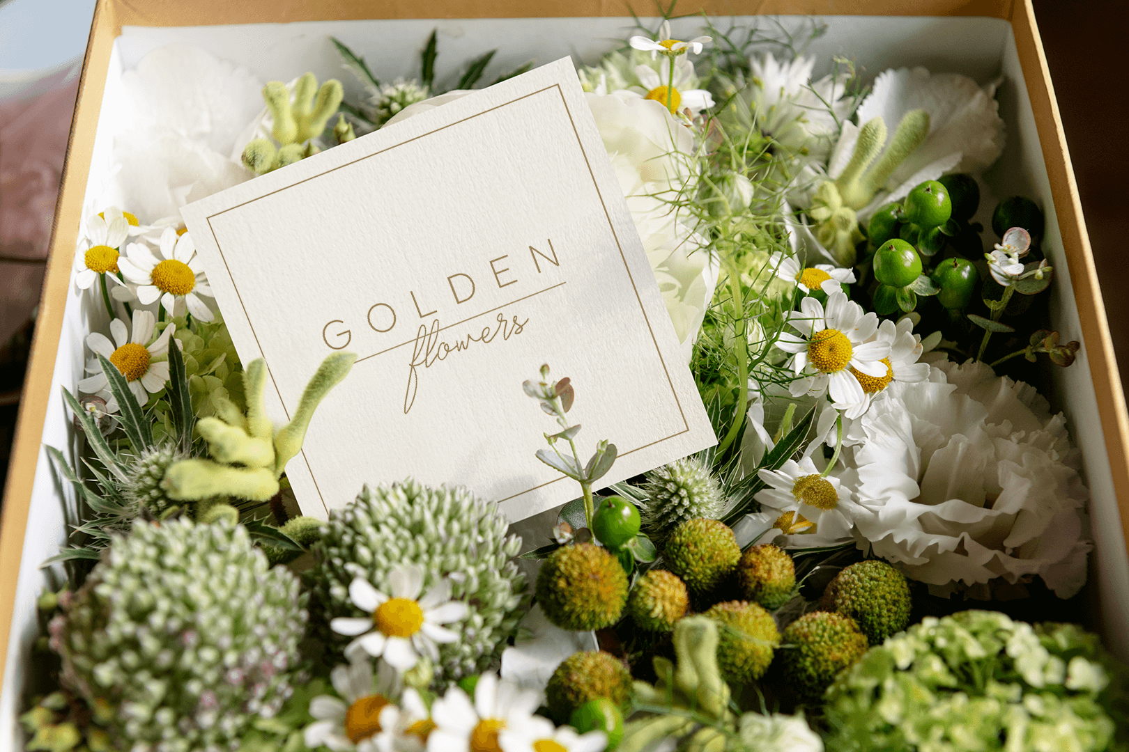 Дизайн рекламных материалов для GOLDEN FLOWERS — Изображение №1 — Брендинг, Графика на Dprofile