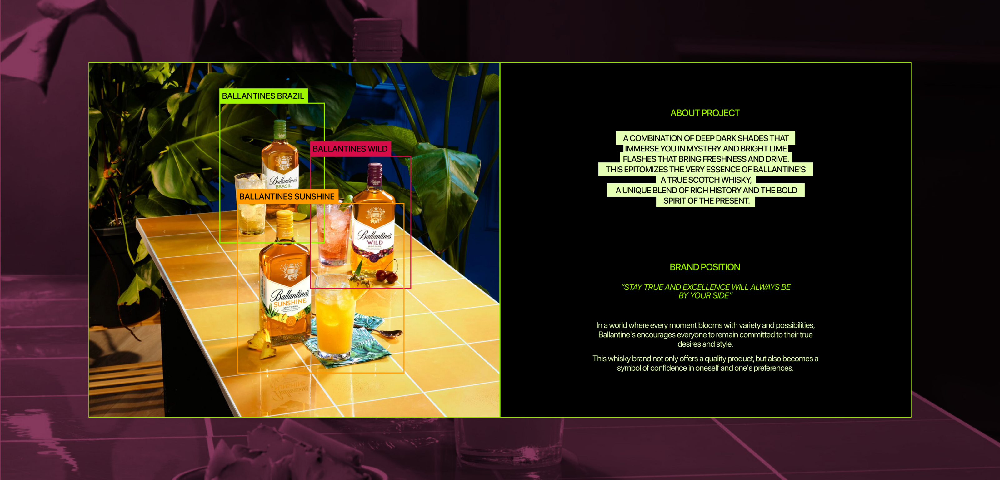 Ballantine’s — Изображение №2 — Интерфейсы, Графика на Dprofile