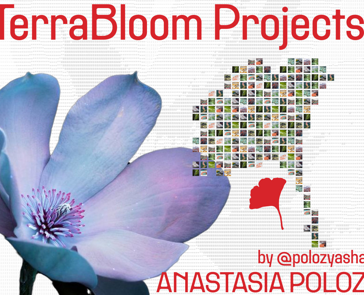 TerraBloom Projects | Corporate website — Интерфейсы на Dprofile