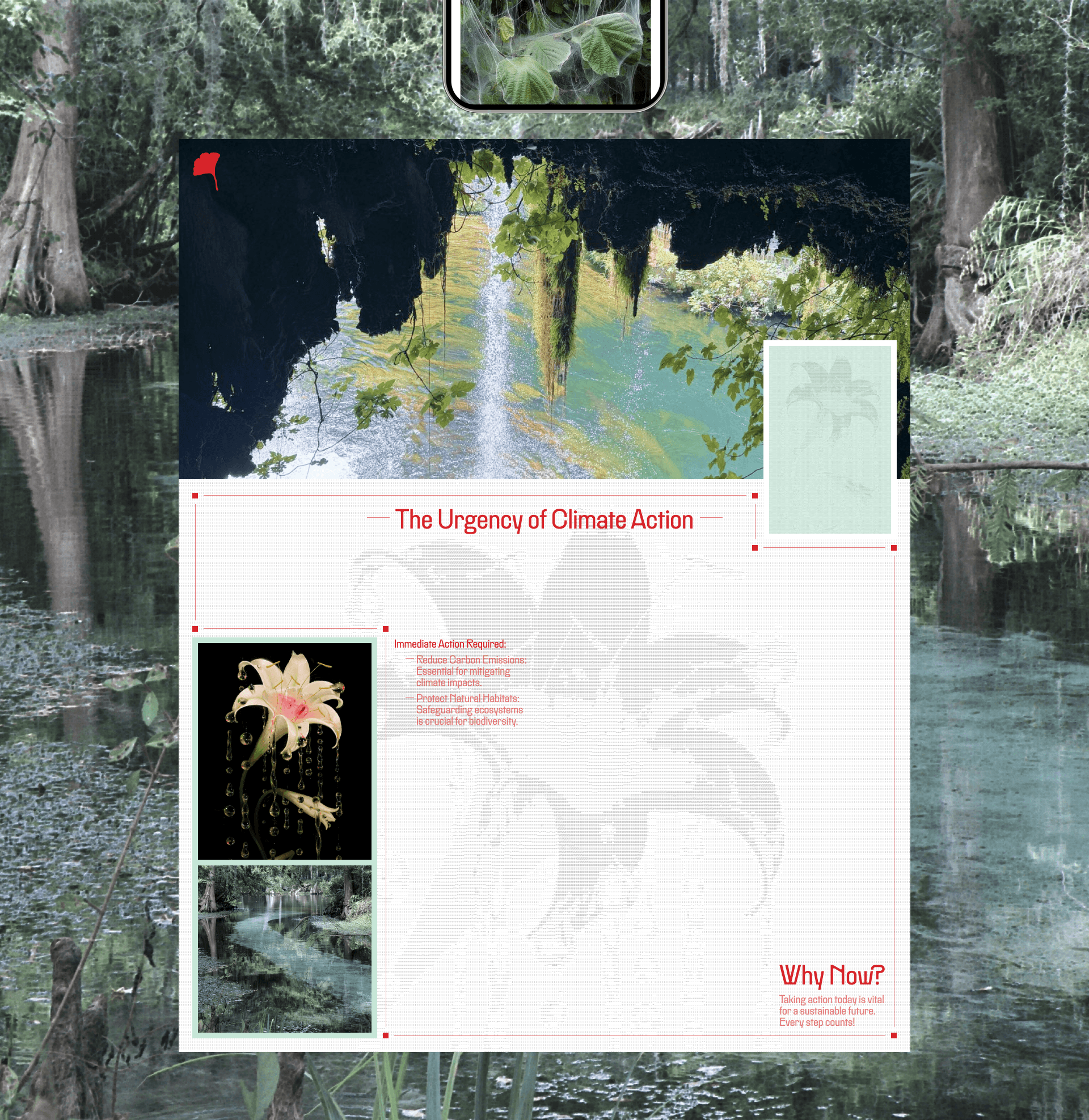 TerraBloom Projects | Corporate website — Изображение №6 — Интерфейсы на Dprofile