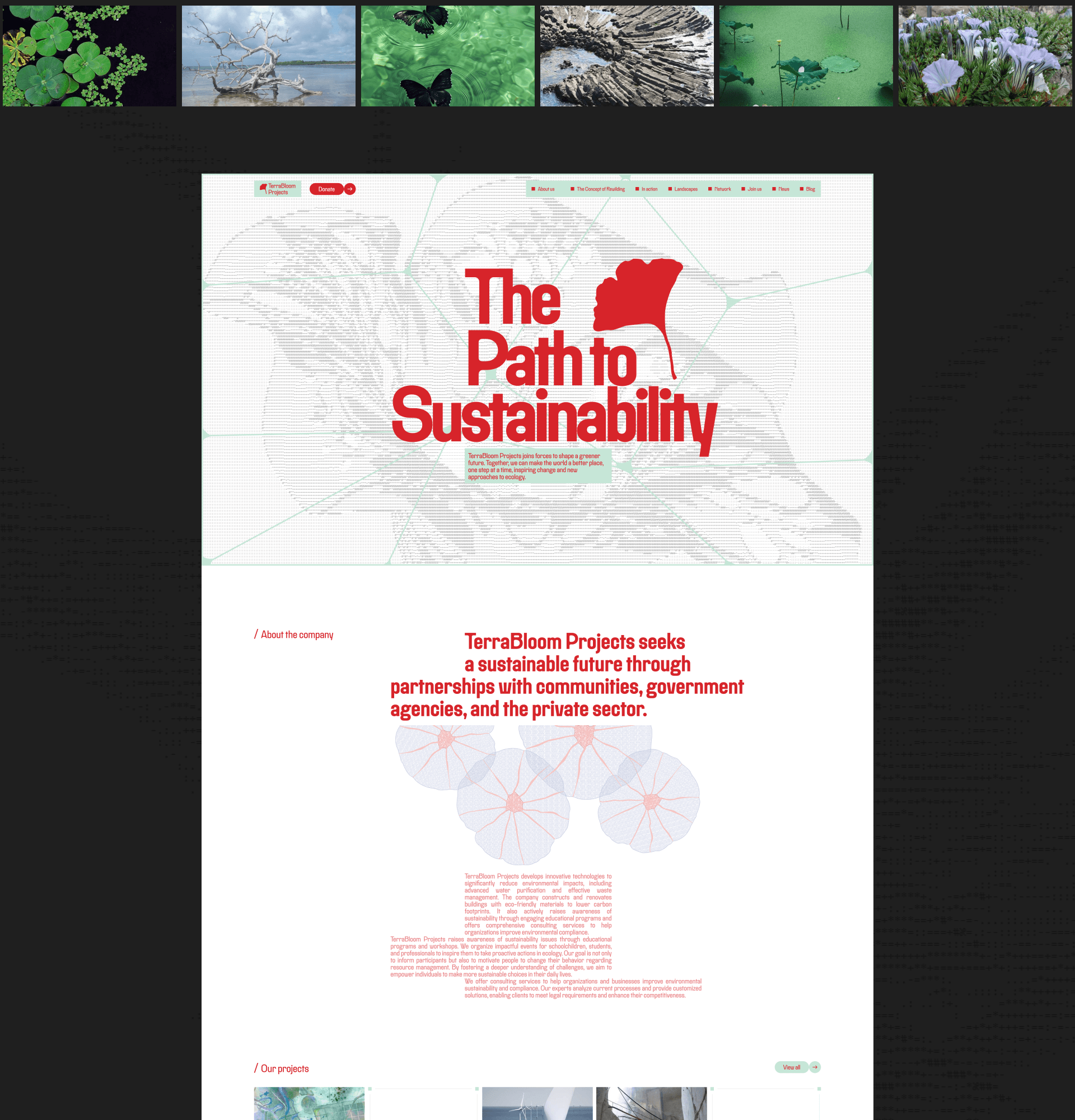 TerraBloom Projects | Corporate website — Изображение №2 — Интерфейсы на Dprofile