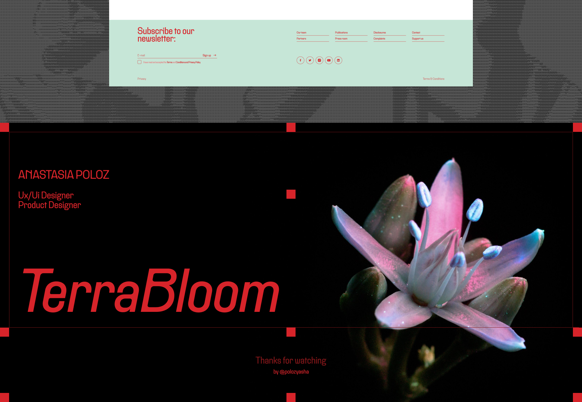 TerraBloom Projects | Corporate website — Изображение №21 — Интерфейсы на Dprofile