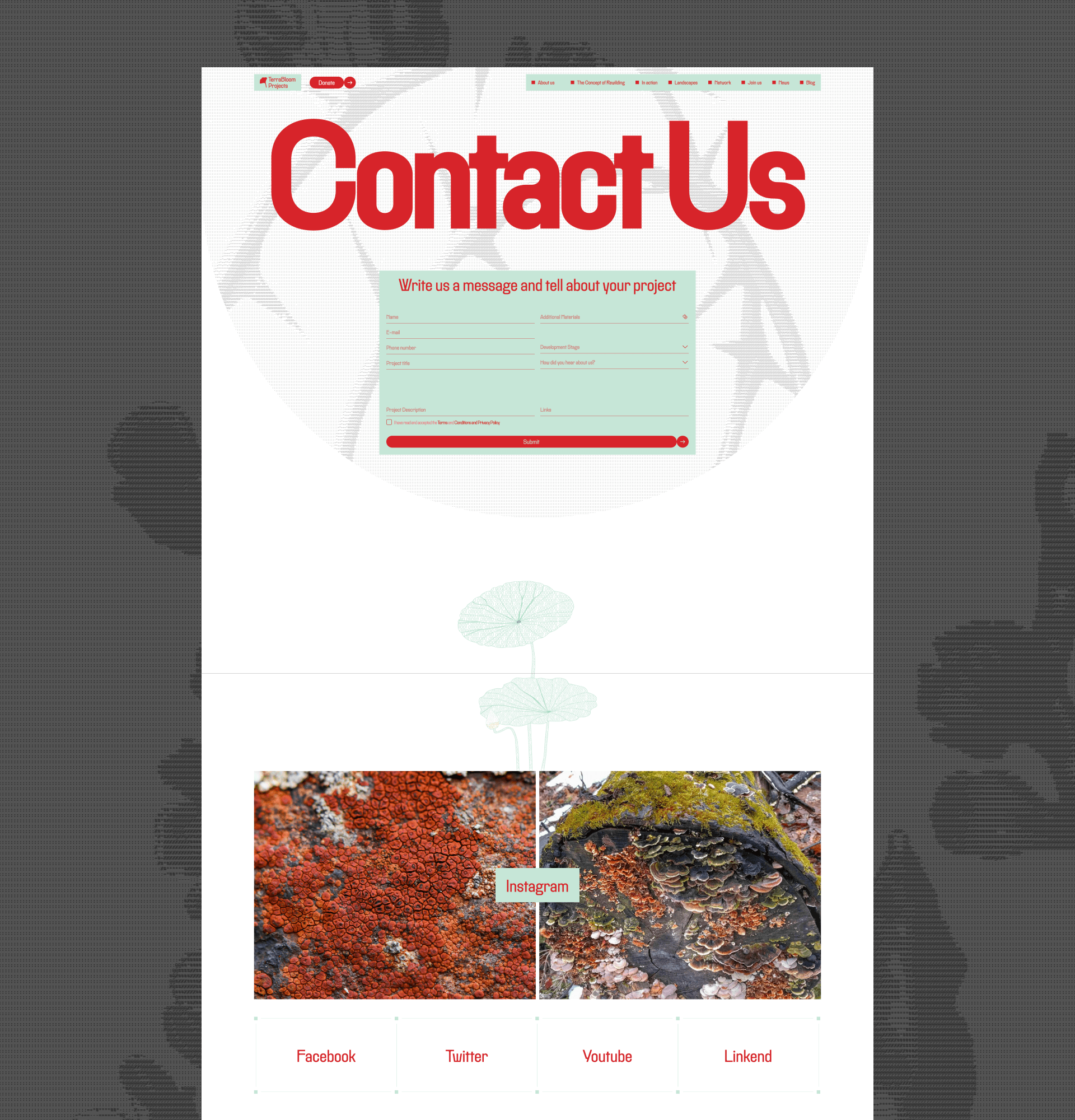 TerraBloom Projects | Corporate website — Изображение №20 — Интерфейсы на Dprofile