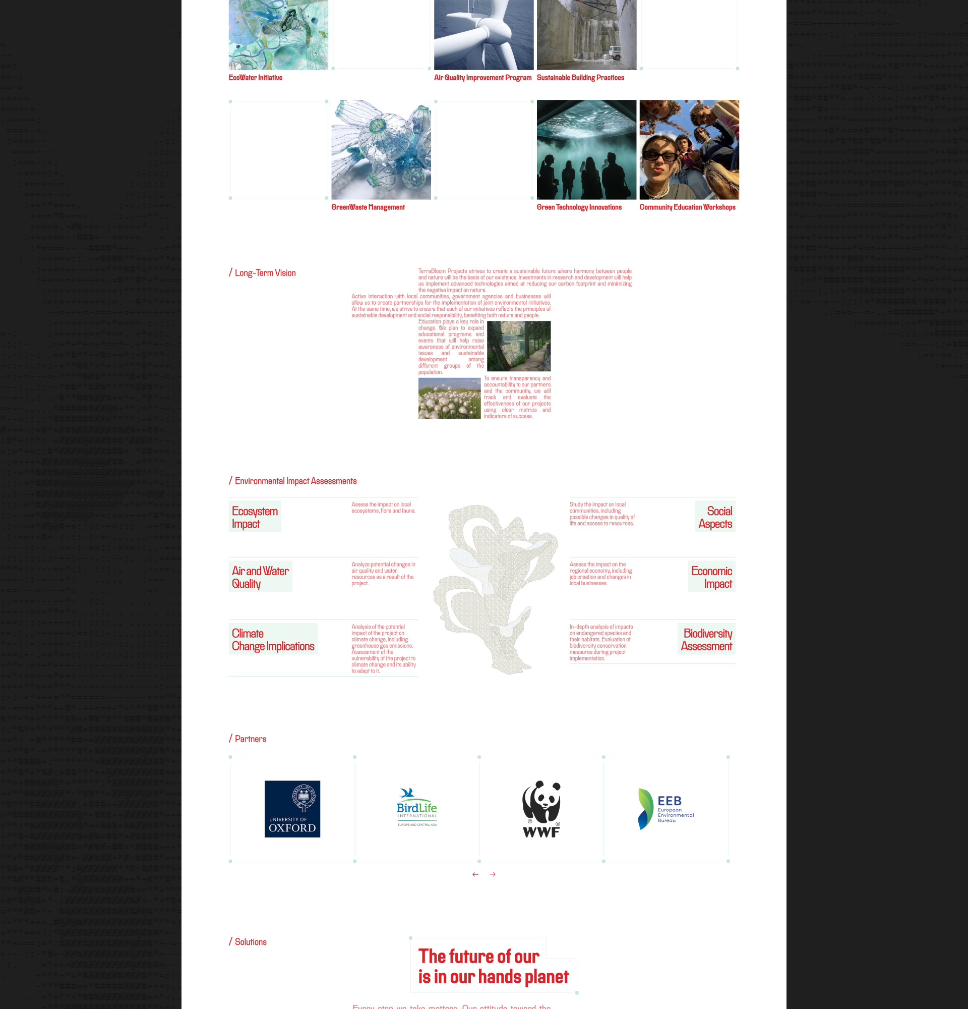 TerraBloom Projects | Corporate website — Изображение №3 — Интерфейсы на Dprofile