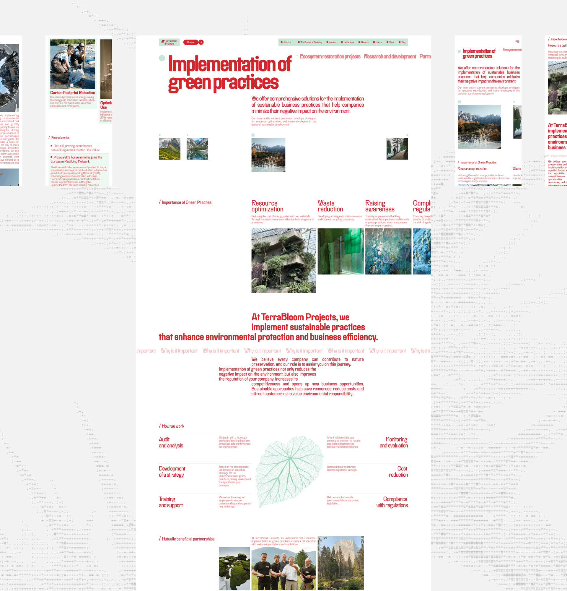 TerraBloom Projects | Corporate website — Изображение №7 — Интерфейсы на Dprofile