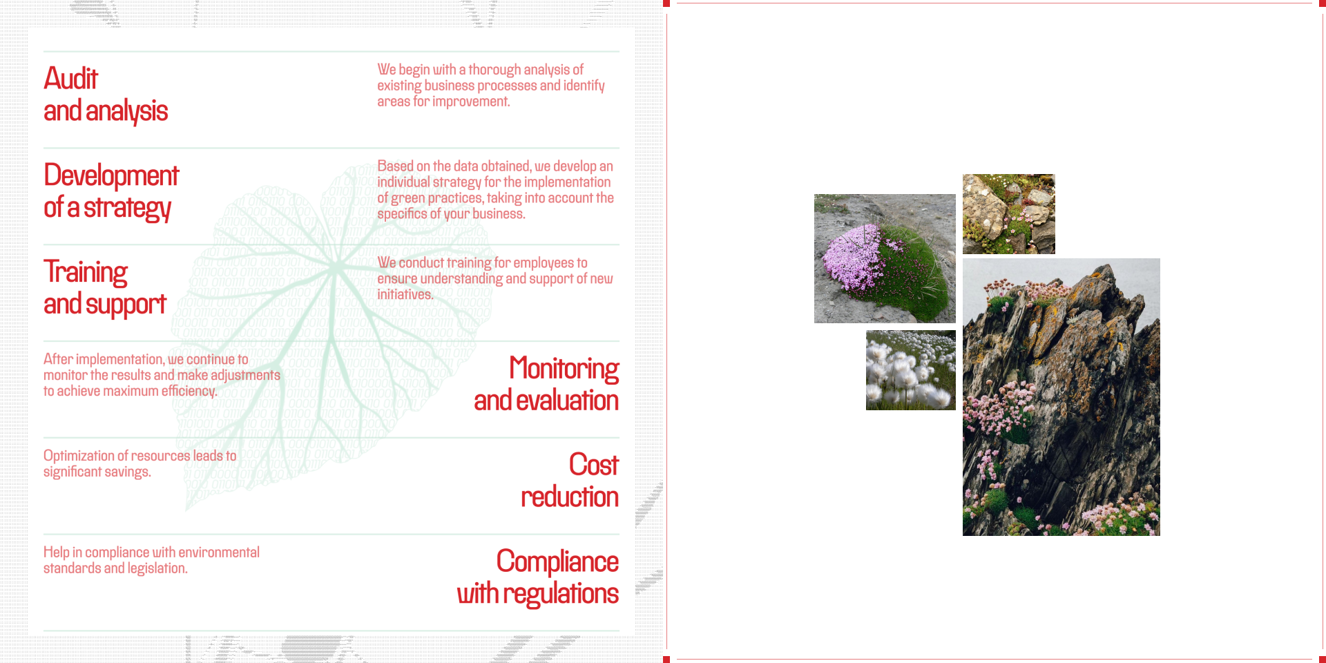 TerraBloom Projects | Corporate website — Изображение №10 — Интерфейсы на Dprofile