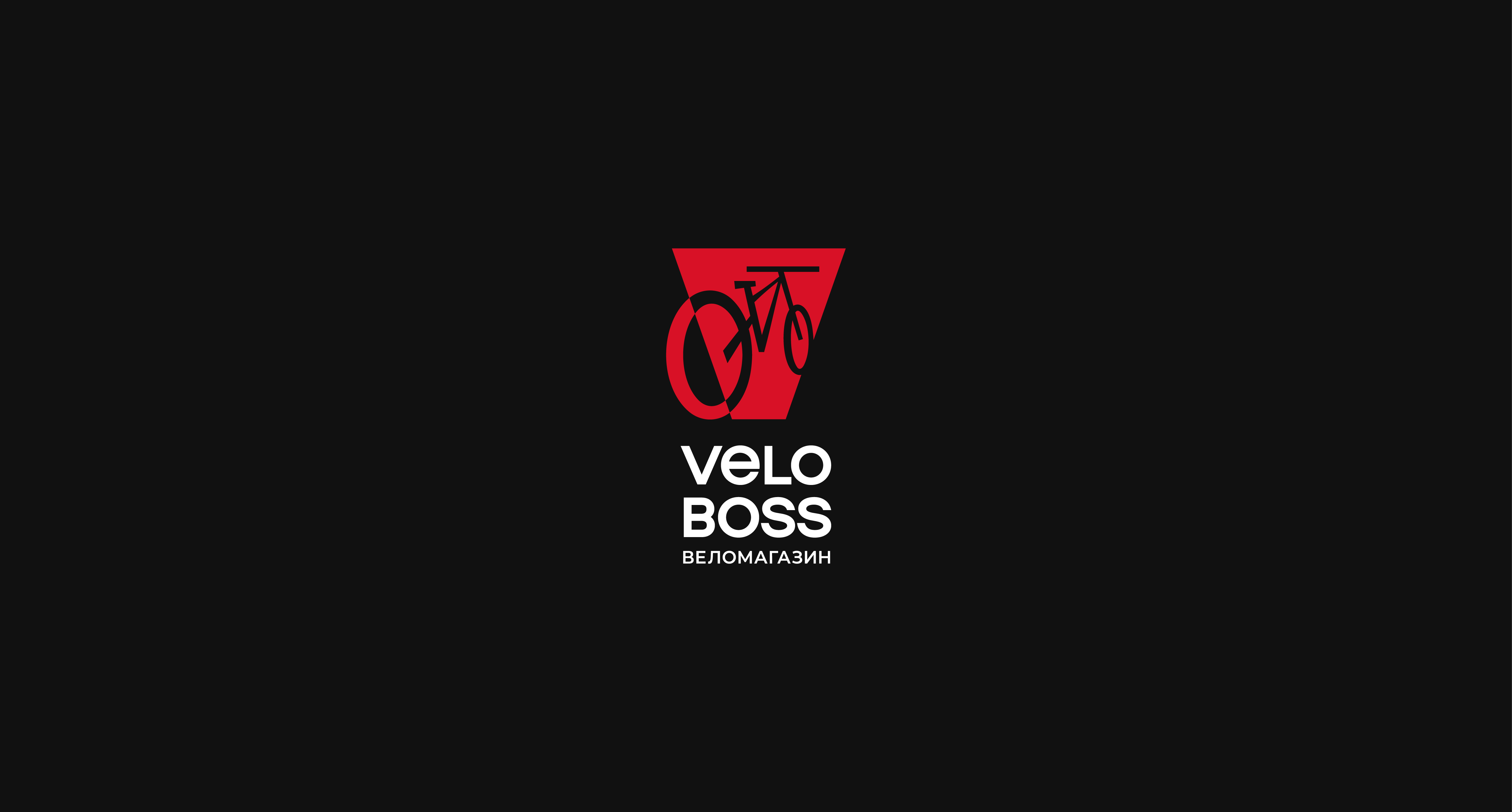 VeloBoss - Brand Identity — Изображение №11 — Брендинг, Графика на Dprofile